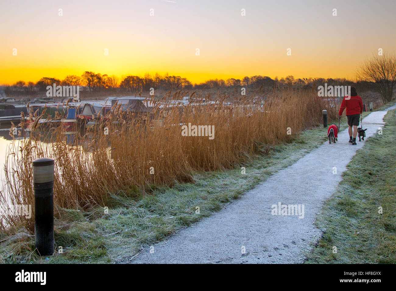 Fredda mattina a Rufford, Lancashire, Regno Unito. Regno Unito Meteo. Il 29 dicembre, 2016. Freddo e la nebbia start ma luminosa e soleggiata. Una meravigliosa parte rurale del Lancashire sul ramo di Rufford di Leeds e Liverpool Canal. Foto Stock