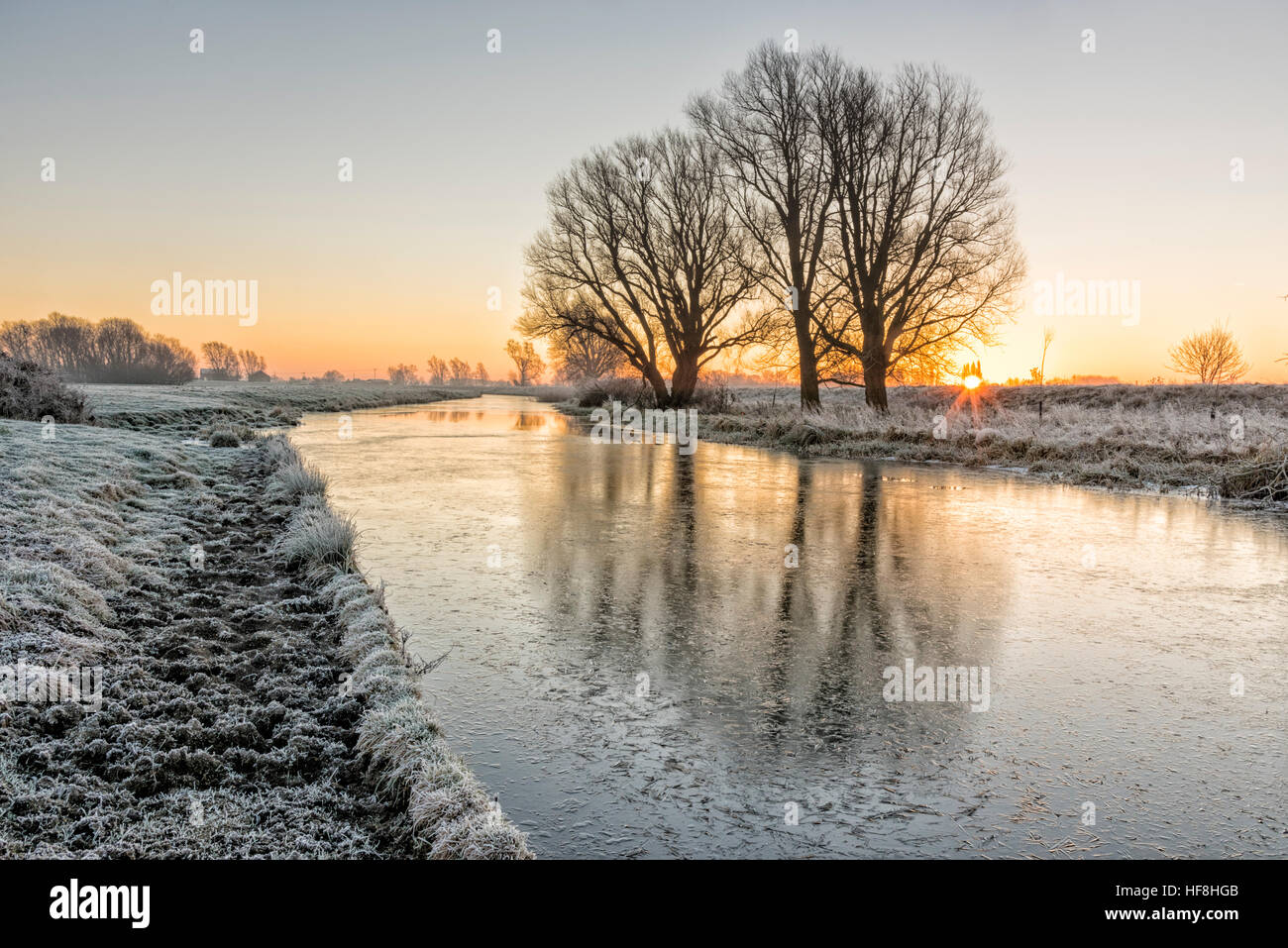 Willingham, Cambridgeshire, Regno Unito. 29 Dic, 2016. Il sole sorge su un congelati paesaggio Fenland sopra il vecchio West River. La temperatura è scesa a circa meno 4 gradi centigradi per tutta la notte con una diffusa il gelo e banchi di nebbia all'alba. © Julian Eales/Alamy Live News Foto Stock