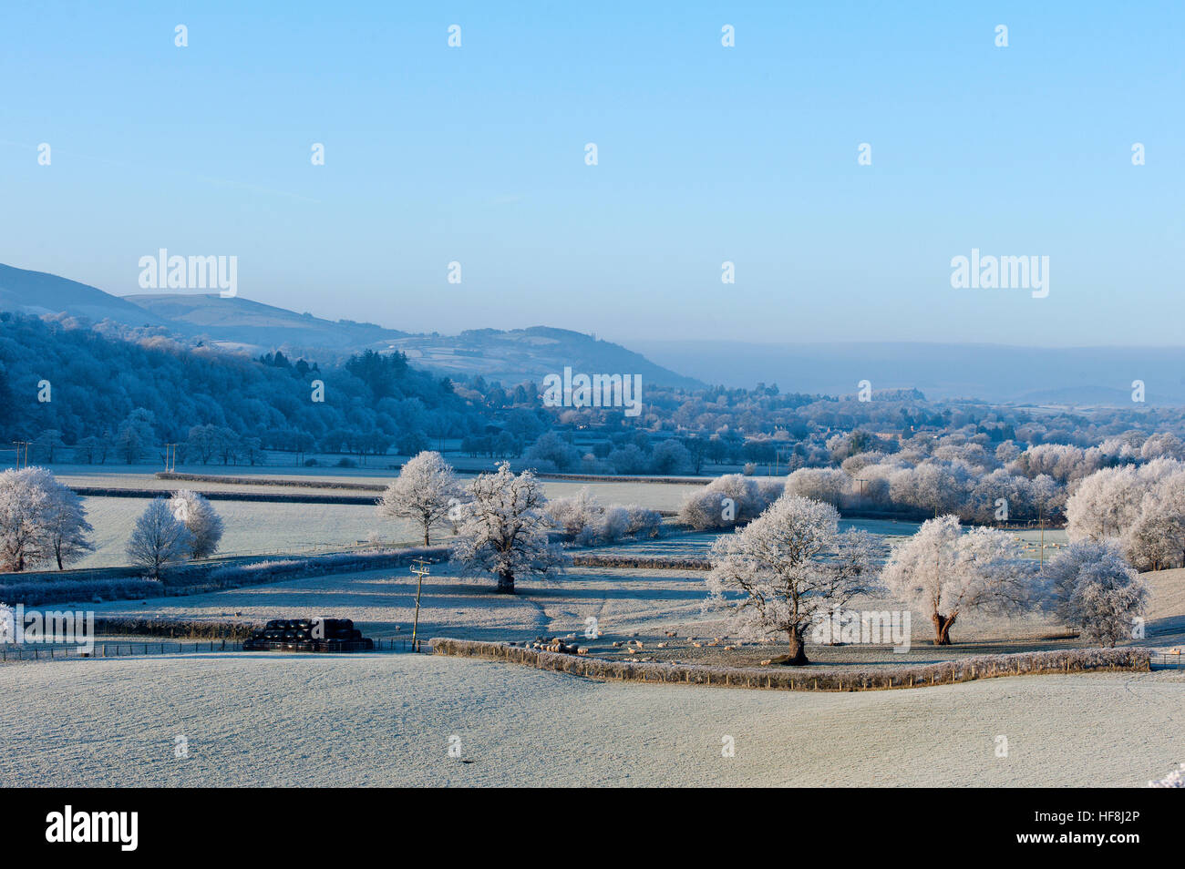 Powys, Wales, Regno Unito. Il 29 dicembre 2016. Molto freddo e gelido nel Galles centrale allo spuntar del giorno con temperature scenda a circa meno 5 gradi centigradi la scorsa notte. © Graham M. Lawrence/Alamy Live News. Foto Stock