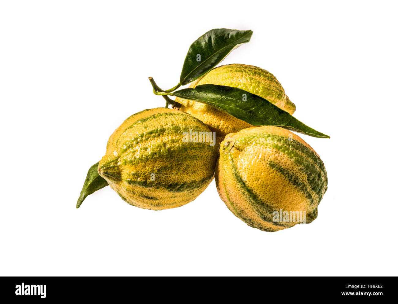 Tiger Limoni Tigerzitronen streifen giallo verde aromatico frutto di cibo di greeen foglie foglia nuova novità nuovi allevamenti a strisce s di limone Foto Stock