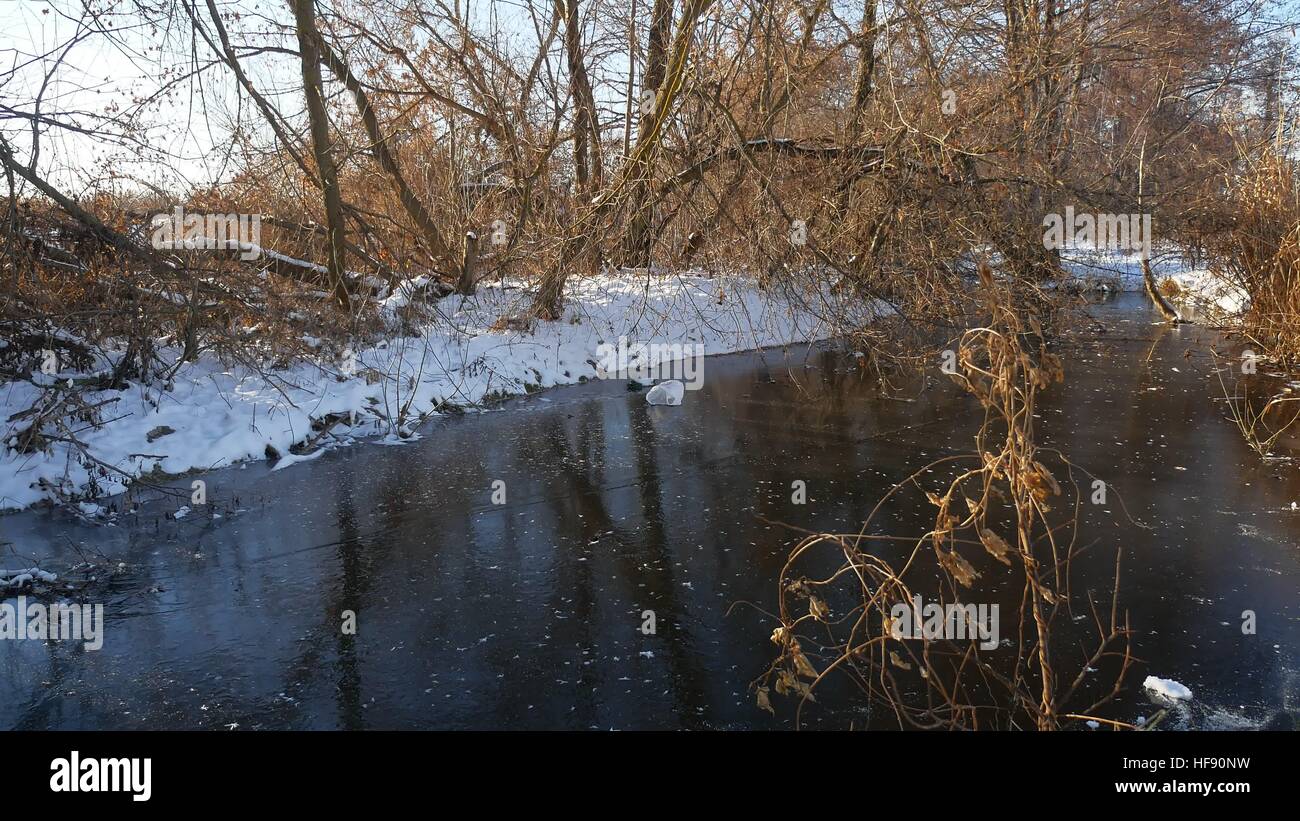 In inverno il paesaggio fluviale in foresta acqua congelata la natura di ghiaccio di erba secca Foto Stock