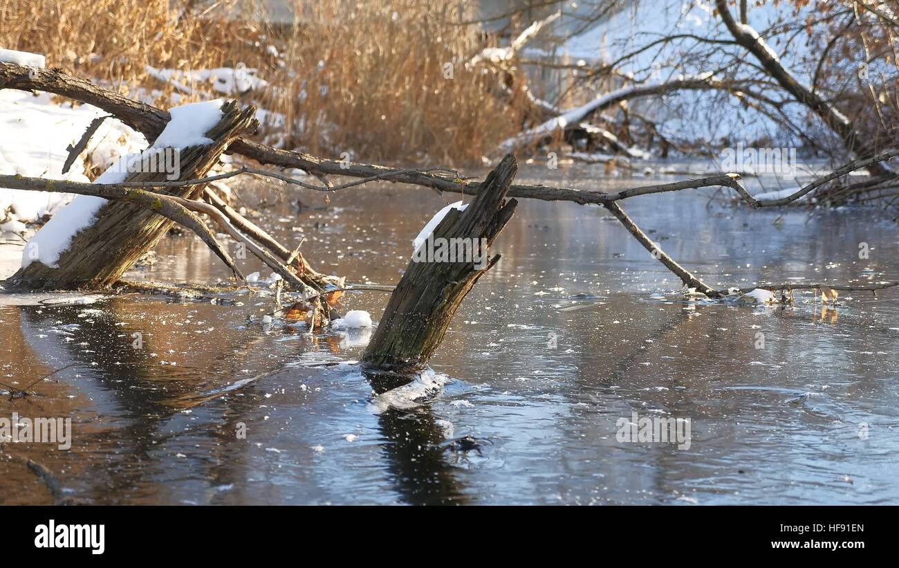 Paesaggio invernale fiume nella foresta di acqua congelata la natura di ghiaccio di erba secca Foto Stock