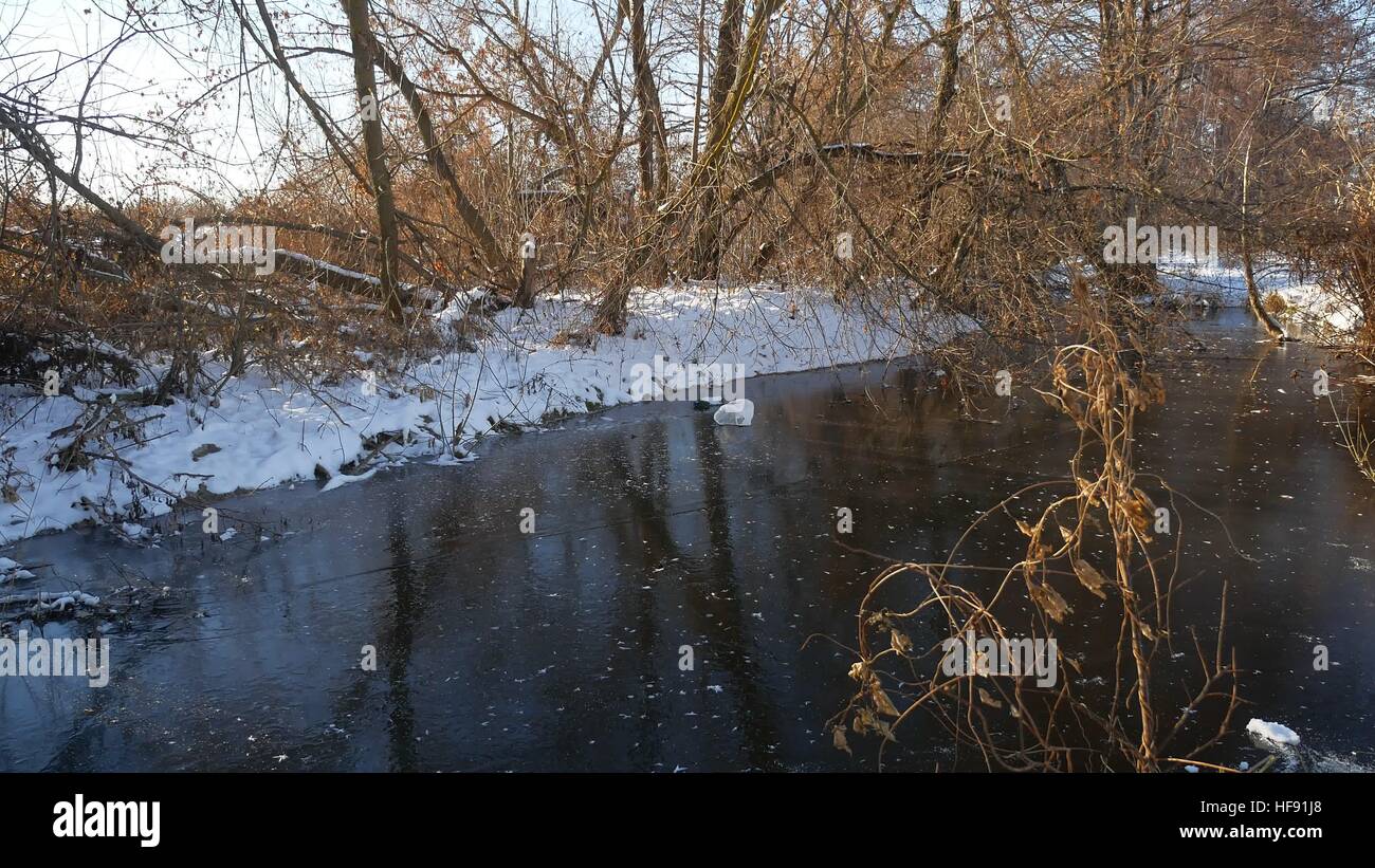 In inverno il paesaggio fluviale in foresta acqua congelata la natura di ghiaccio di erba secca Foto Stock