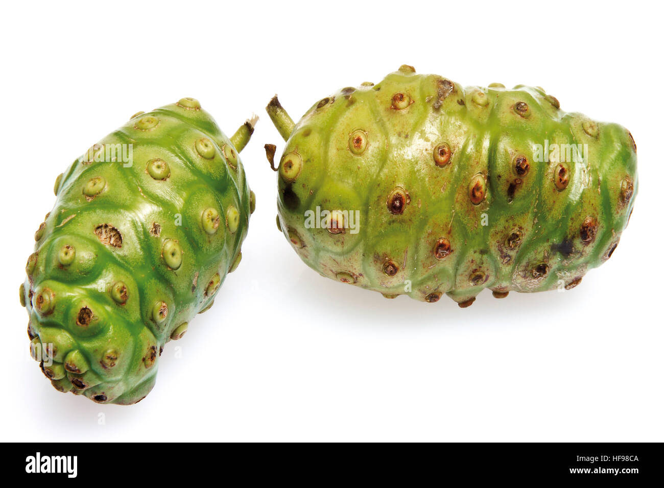 Due frutta di Noni Foto Stock