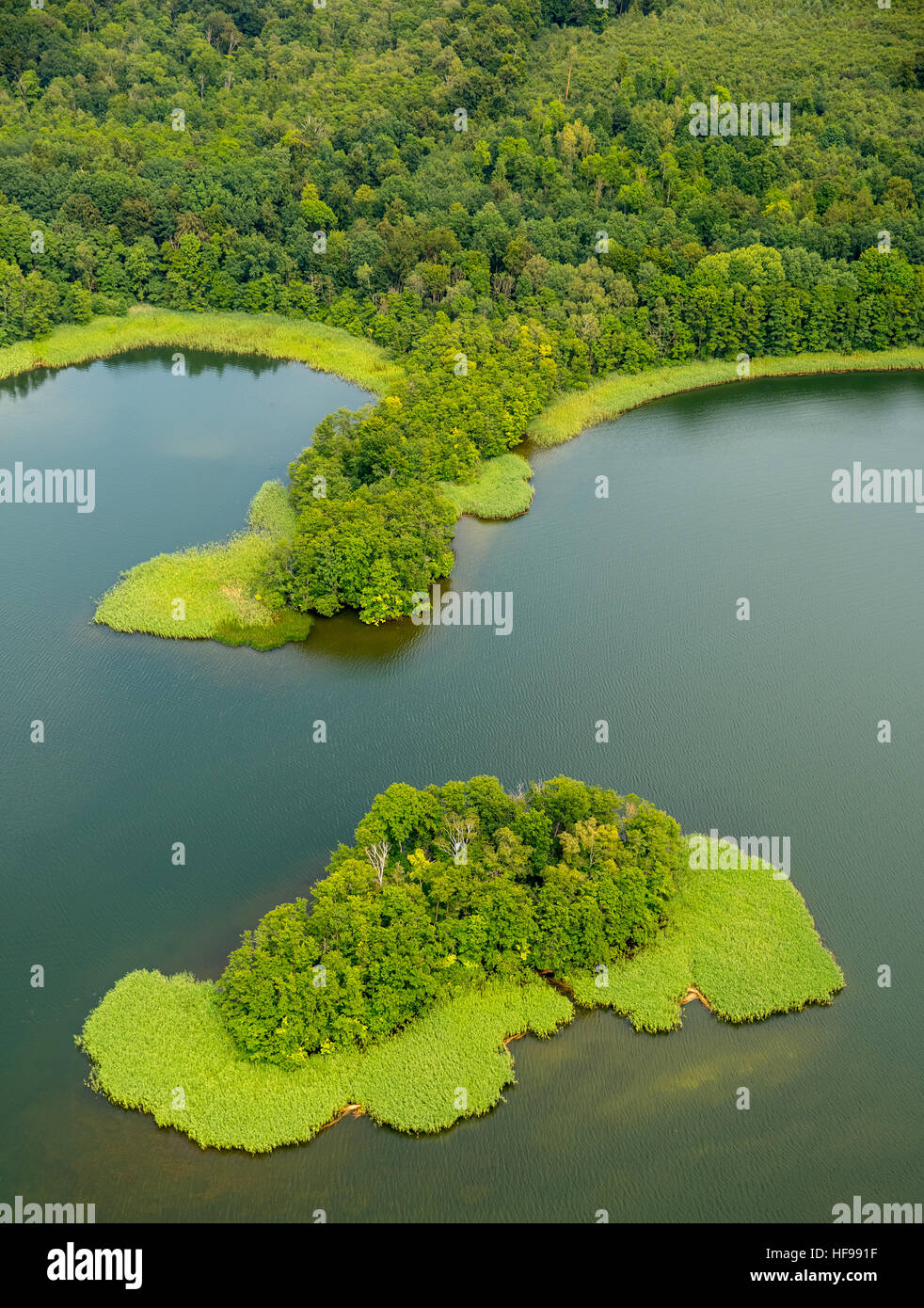 Vista aerea, isola nel Lago di Cracovia, il lago con penisole, Cracovia am See, Meclemburgo Lake District Foto Stock