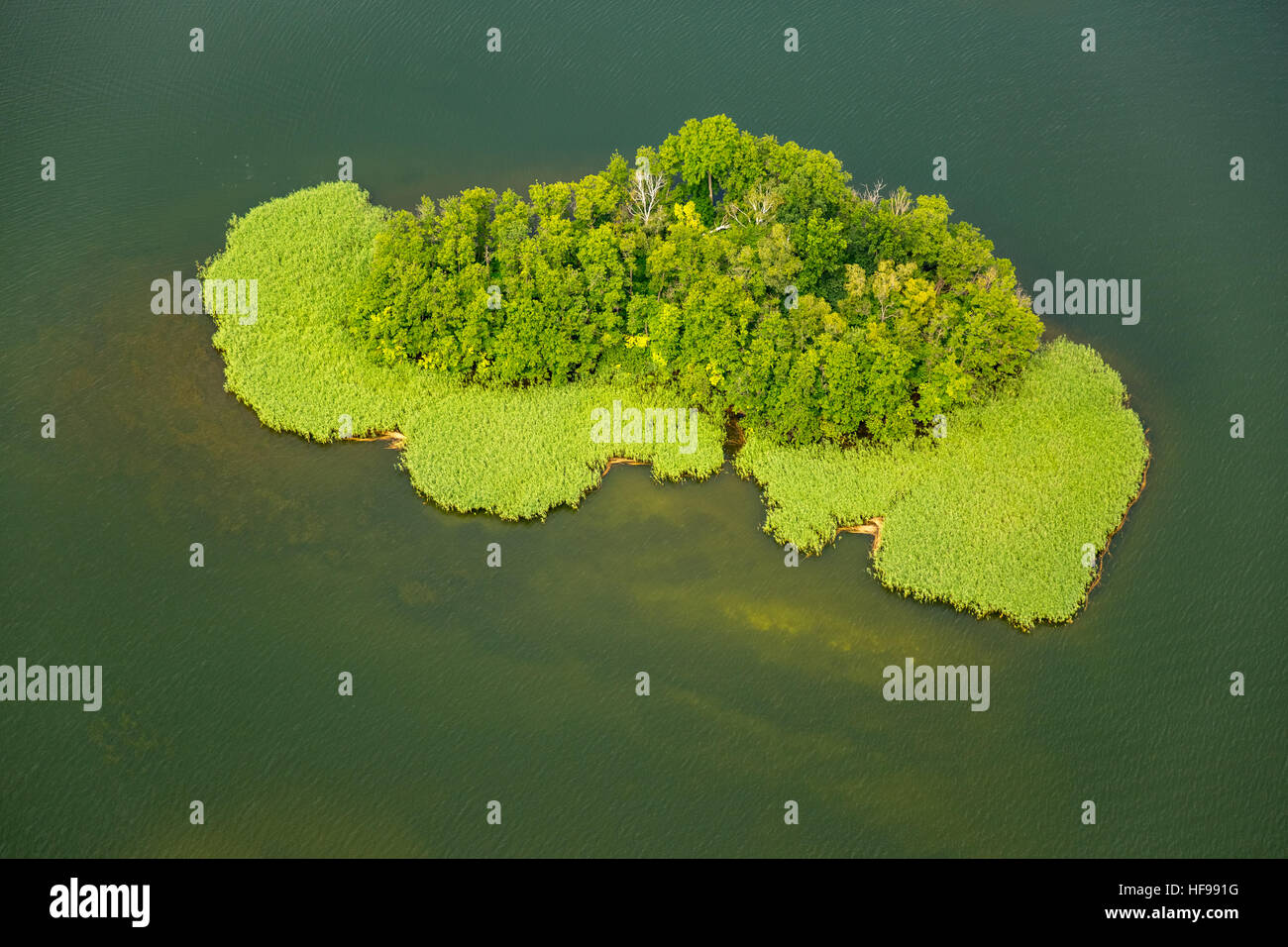 Vista aerea, isola nel Lago di Cracovia, Cracovia am See, Meclemburgo Lake District, Meclemburgo-Pomerania Occidentale, Germania Foto Stock
