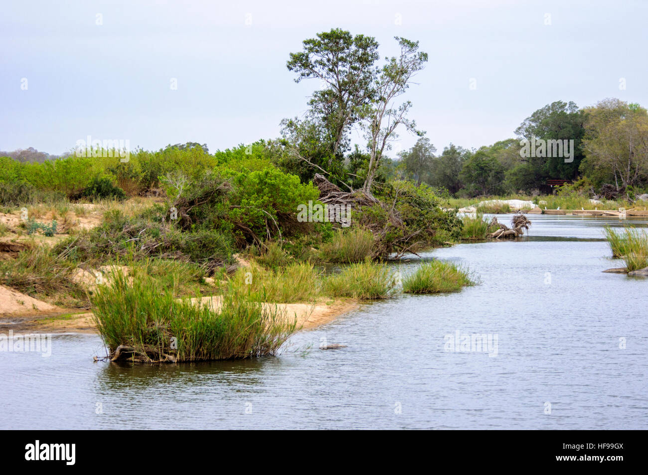 Vista del fiume di sabbia, Sabi Sands Game Reserve, Sud Africa Foto Stock