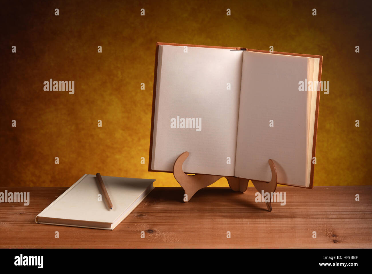 Libro aperto con pagine vuote Foto Stock