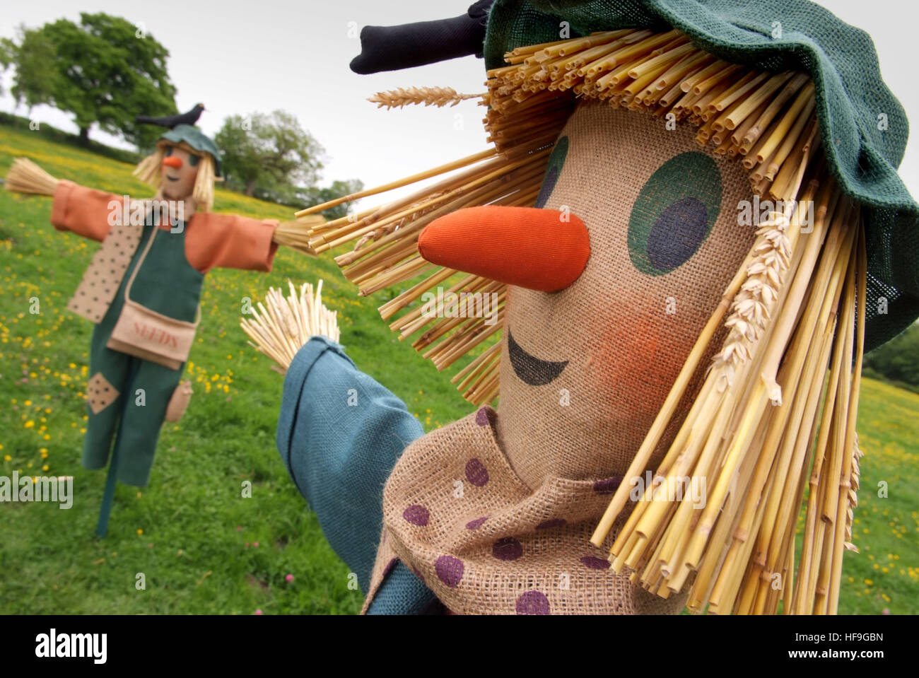 Scarecrows realizzato da polly bollitore. Foto Stock