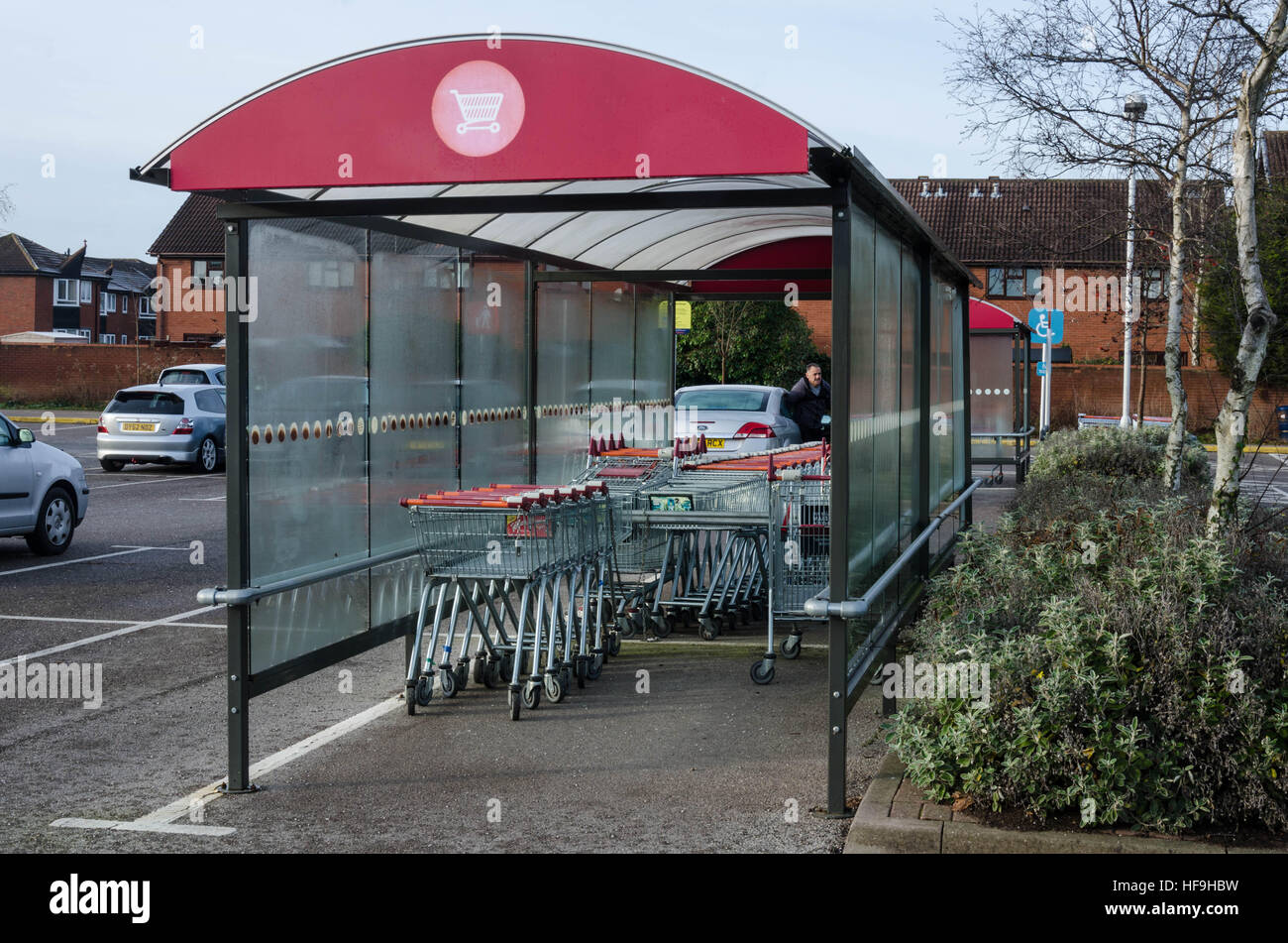 Sainsbury's carrelli per supermercati. Foto Stock