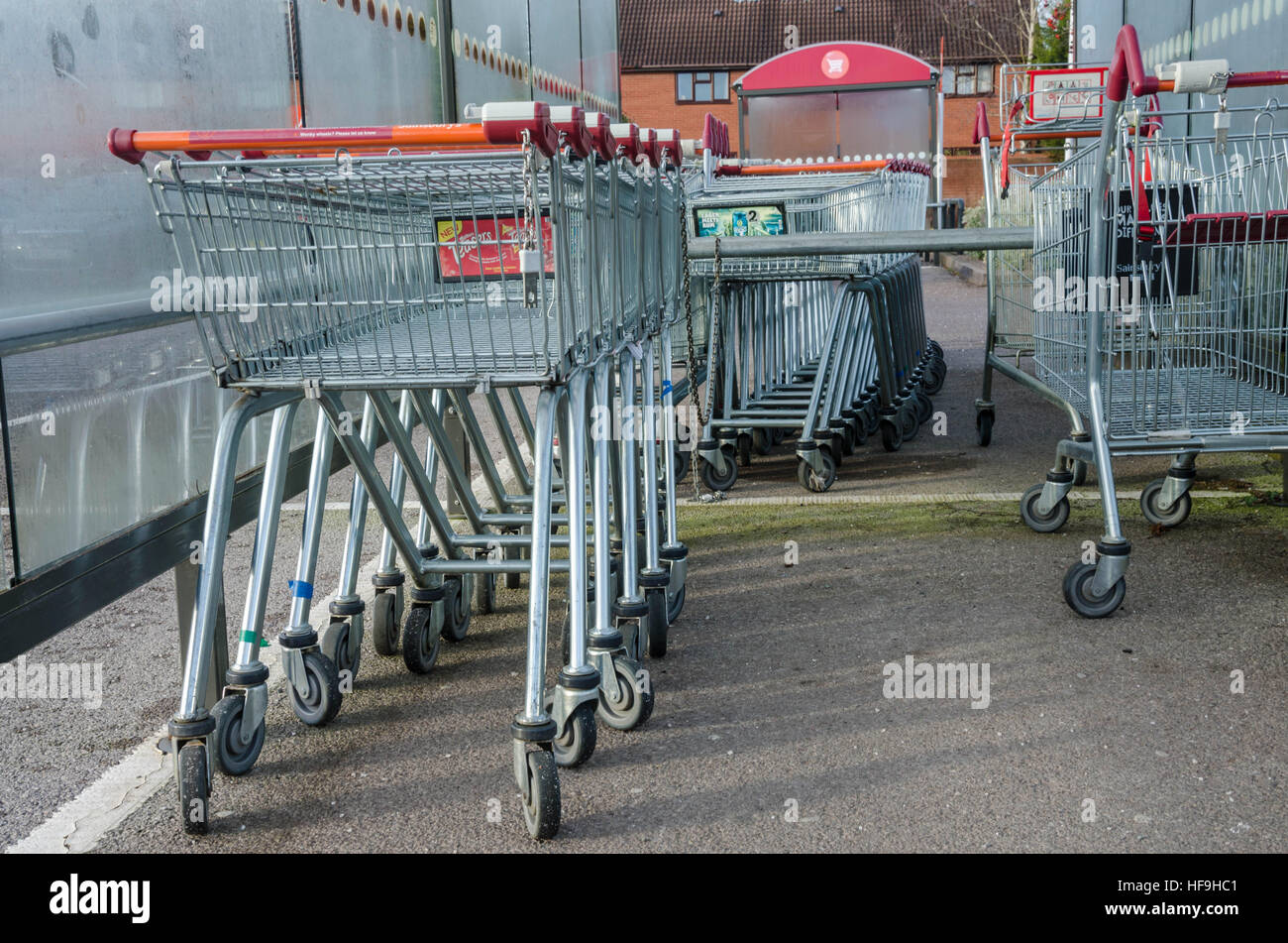 Sainsbury's carrelli per supermercati. Foto Stock