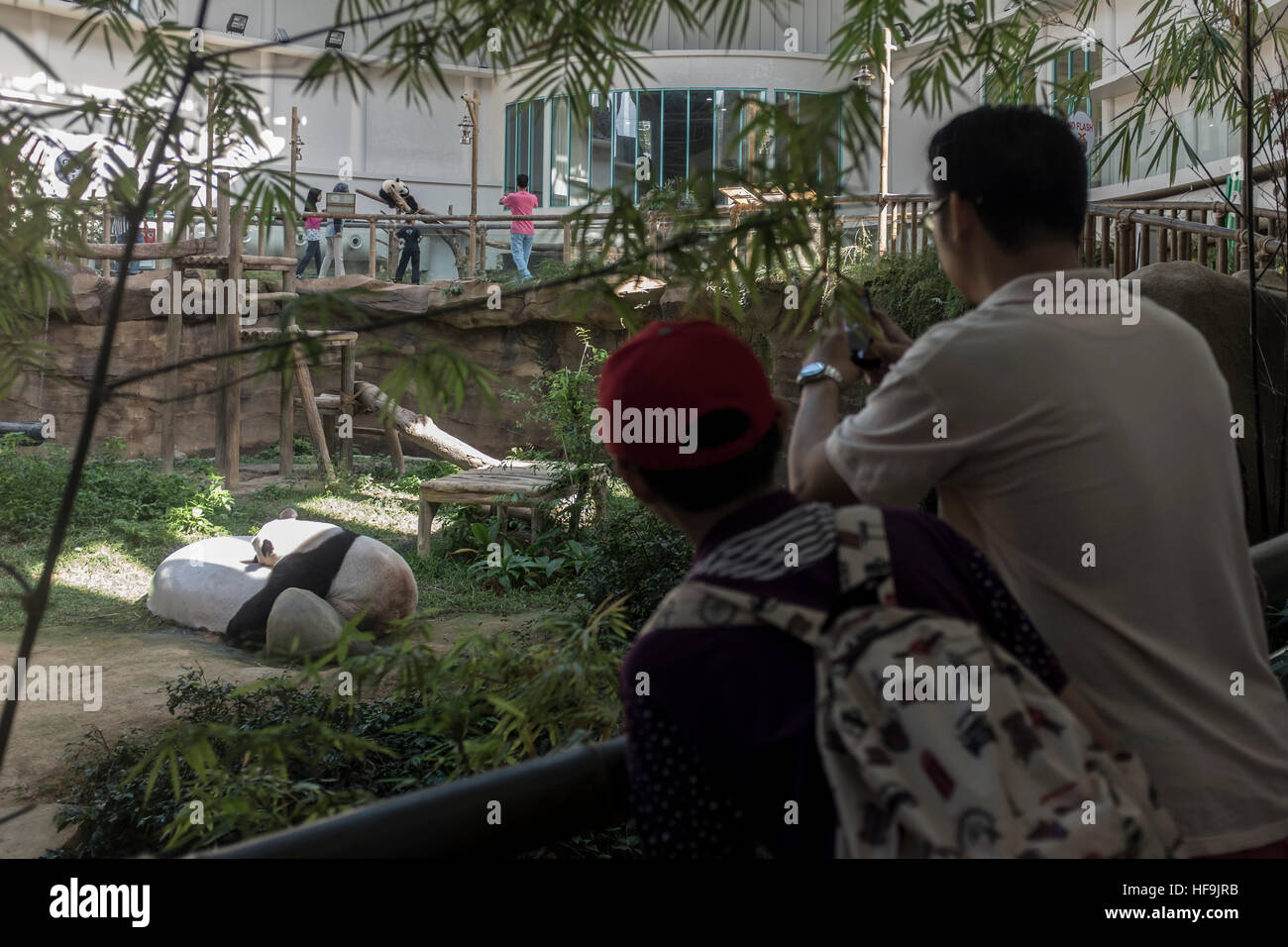 Visitatori guardare un Panda nel suo involucro in corrispondenza del Giardino Zoologico Nazionale, a Kuala Lumpur, Malesia. Foto Stock