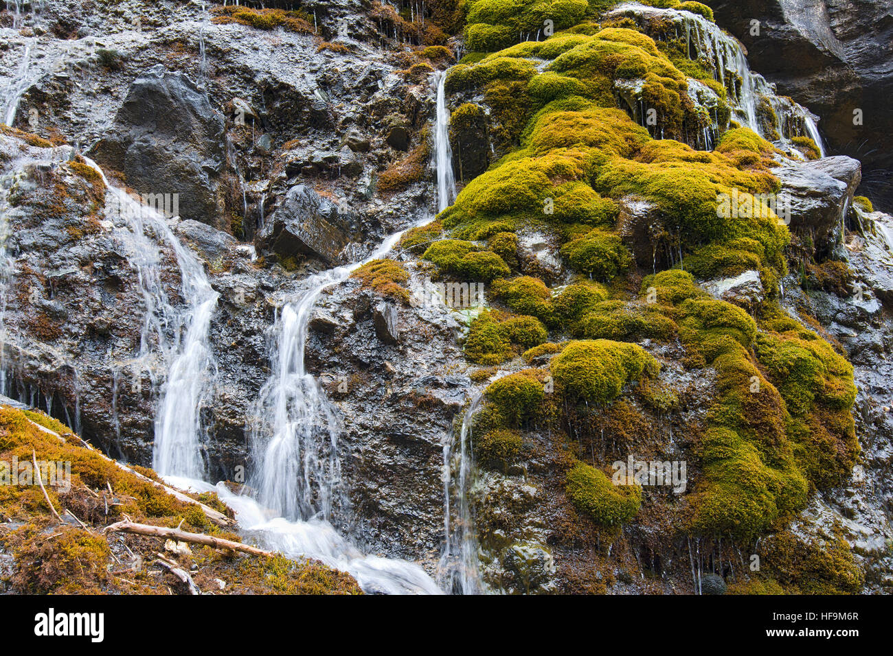 Tropfsteinquelle, Burgum Alp, Val di Vizze Valley, Alto Adige, Italia Foto Stock