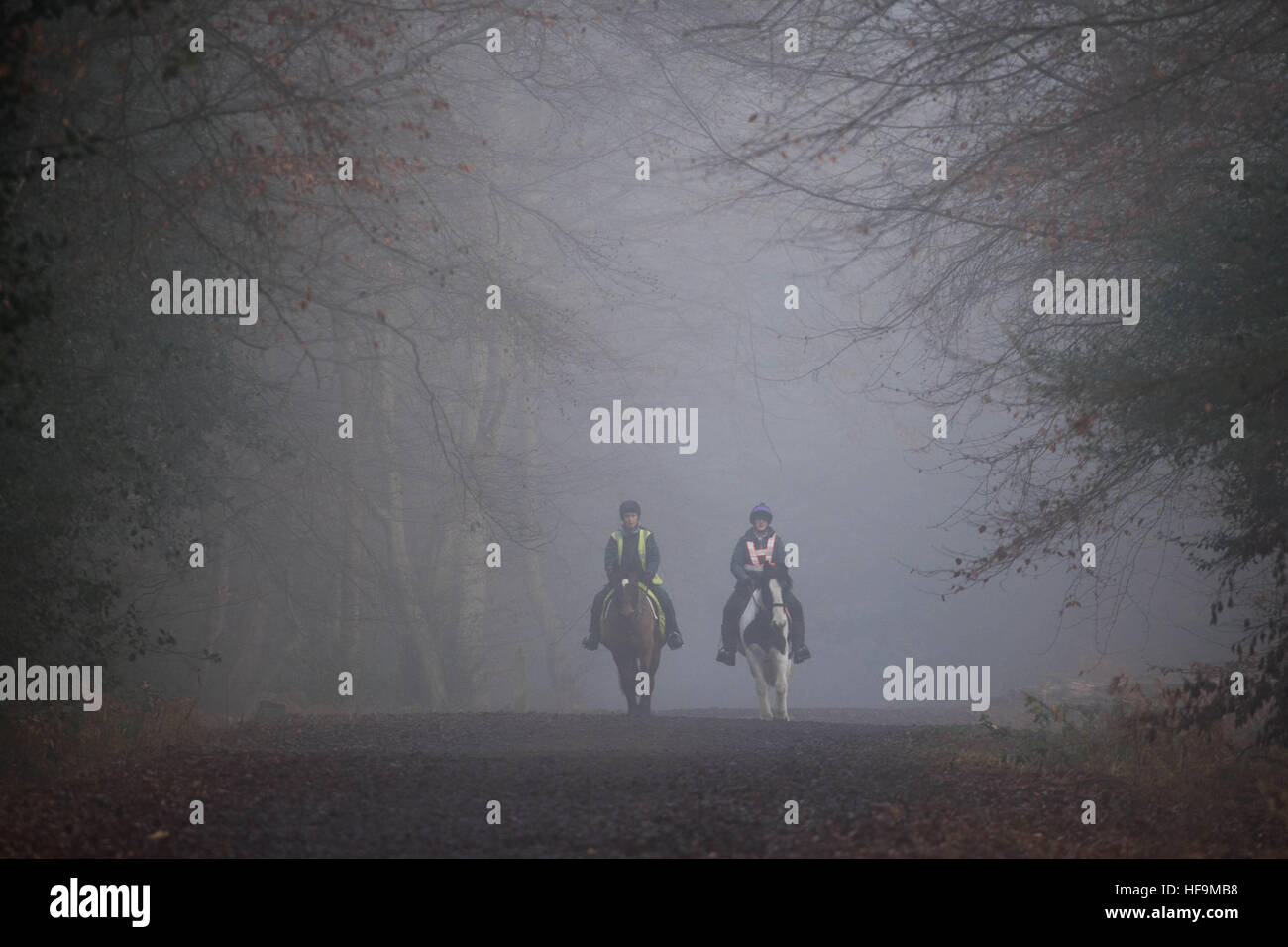 Horse piloti fanno la loro strada attraverso la fitta nebbia nella Foresta di Epping, Essex. Foto Stock