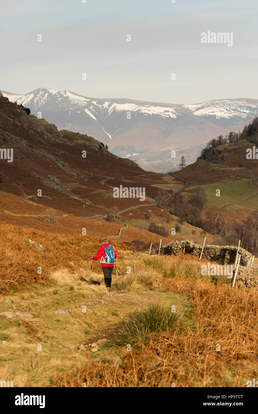 Una donna che cammina su un sentiero di campagna in Borrowdale Lake District Cumbria in inverno indossare una giacca a vento rosso Foto Stock