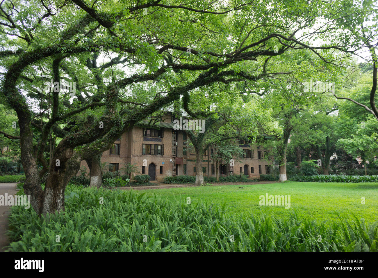 Sun Yat-sen (Zhongshan) campus universitario, Guangzhou, Cina Foto Stock