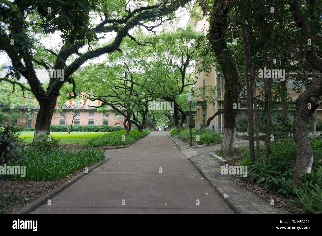 Sun Yat-sen (Zhongshan) campus universitario, Guangzhou, Cina Foto Stock