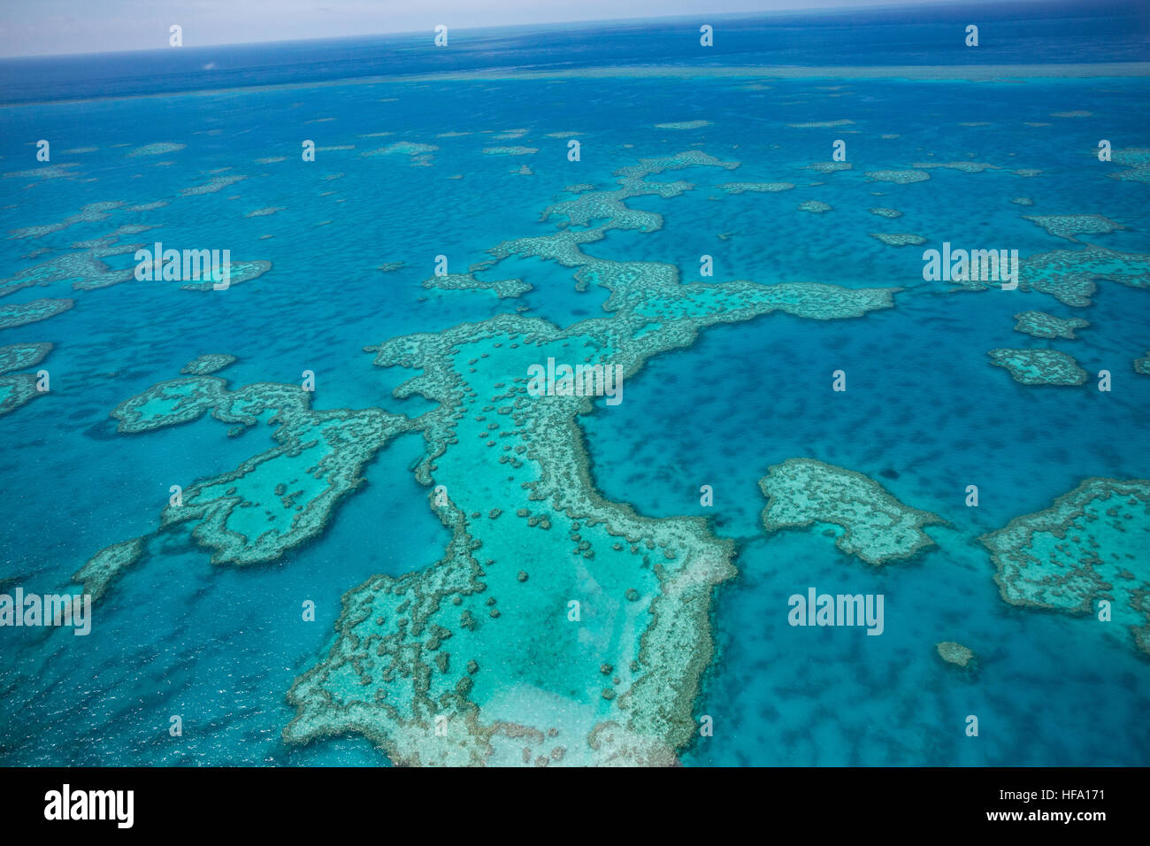 Grande Barriera Corallina dal di sopra, Queensland, Australia Foto Stock