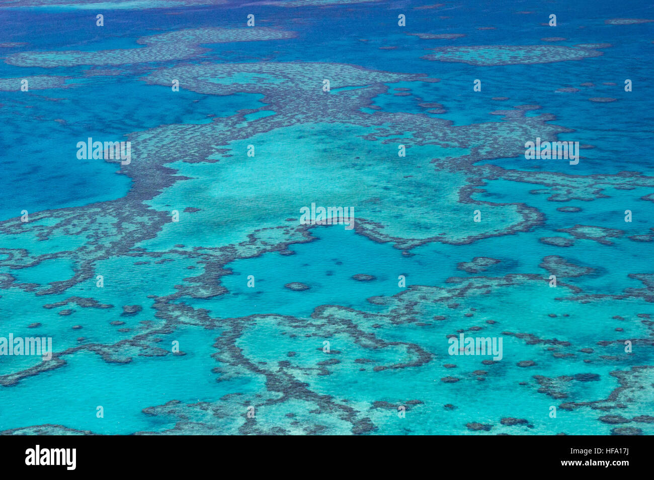 Grande Barriera Corallina dal di sopra, Queensland, Australia Foto Stock