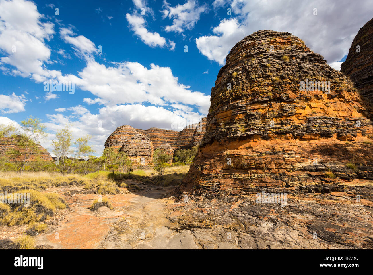 Pasticciare Bungles, Parco Nazionale di Purmululu, Kimberley, Australia occidentale Foto Stock