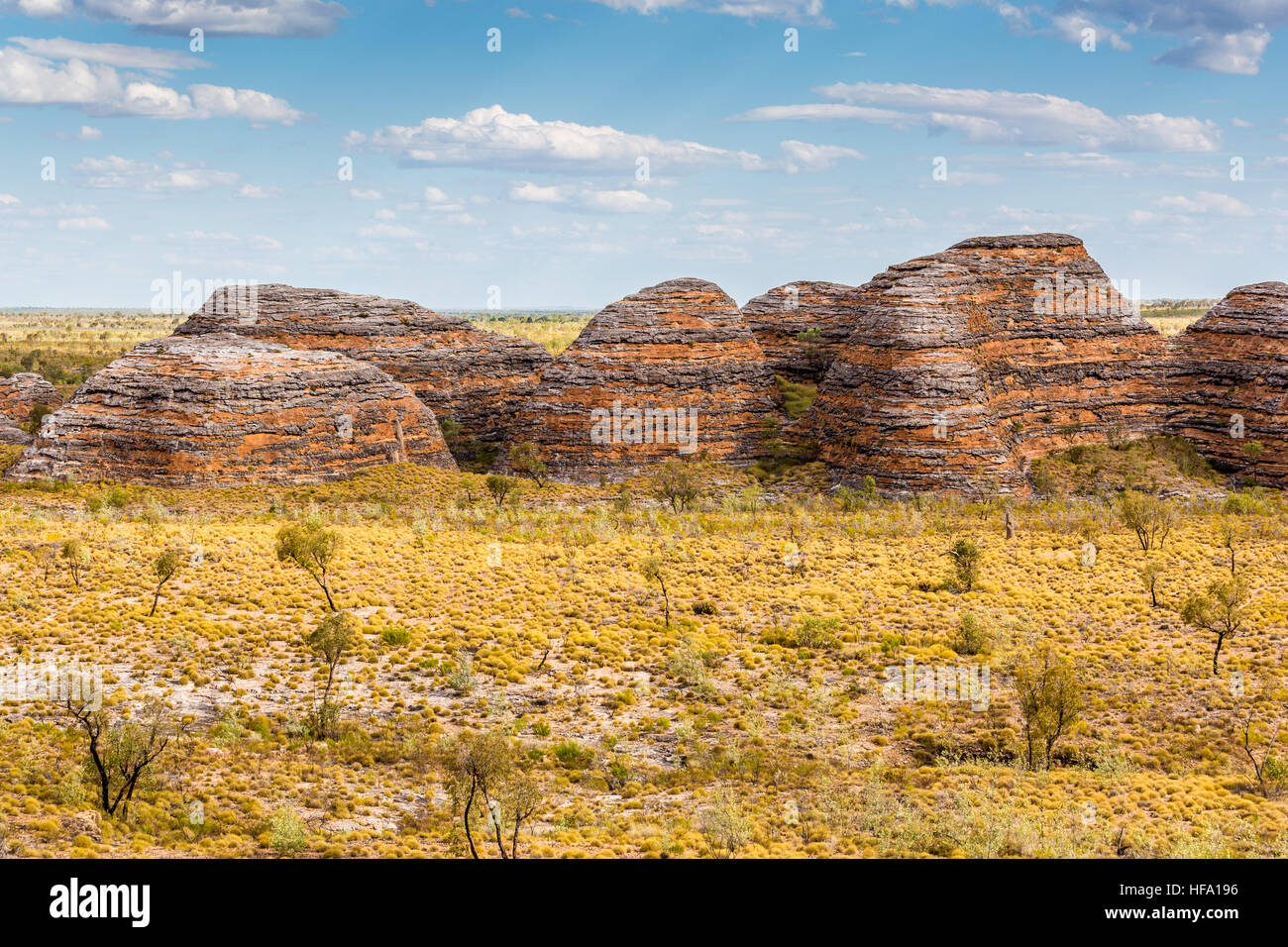 Pasticciare Bungles, Parco Nazionale di Purmululu, Kimberley, Australia occidentale Foto Stock