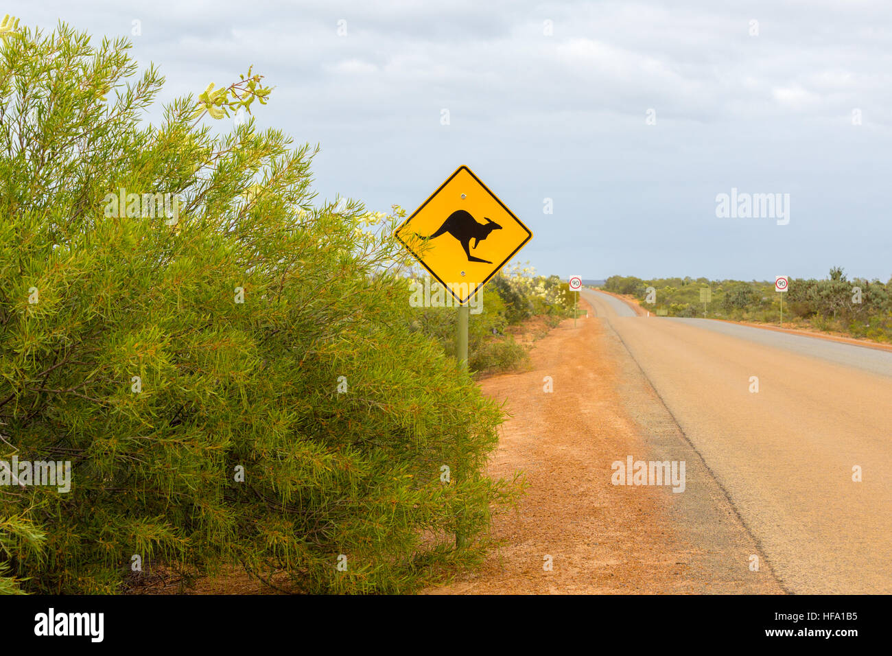 Segno di canguro, strada sterrata, Australia occidentale Foto Stock