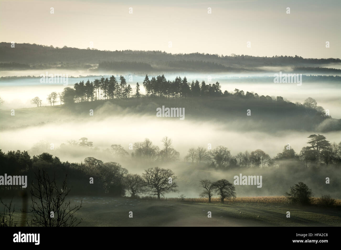 Newland's Corner nel Surrey Hills AONB, Regno Unito. Una scena di campagna nebbiosa di mattina presto o paesaggio in inverno o dicembre Foto Stock