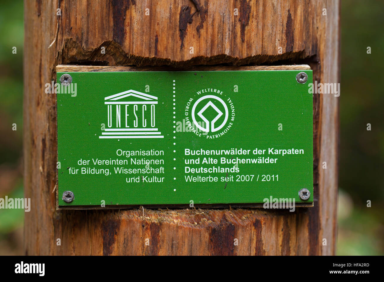 Unesco sign in il Müritz Parco Nazionale / Müritz Nationalpark, Meclemburgo-Pomerania, Germania Foto Stock