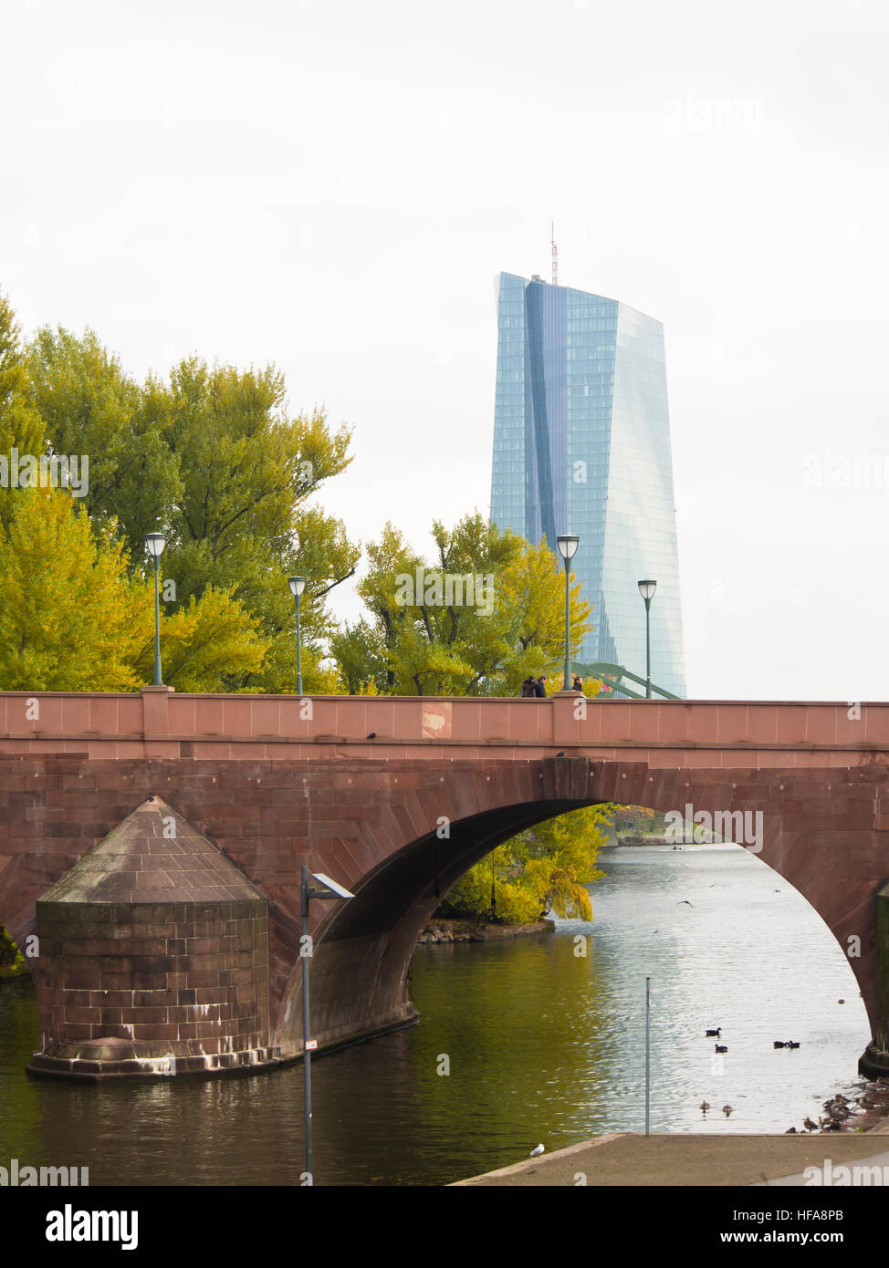 La Banca centrale europea edificio e 'Alte Brücke" visto attraverso le foglie di autunno da attraverso il fiume principale, Francoforte Germania Foto Stock