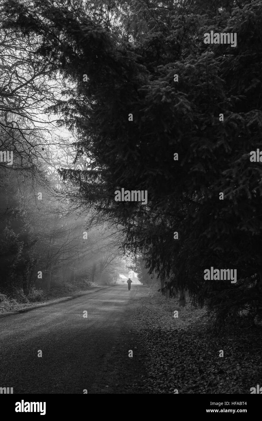 In bianco e nero di Foggy gelido inverno mattina in Clumber Park con l uomo a distanza Foto Stock