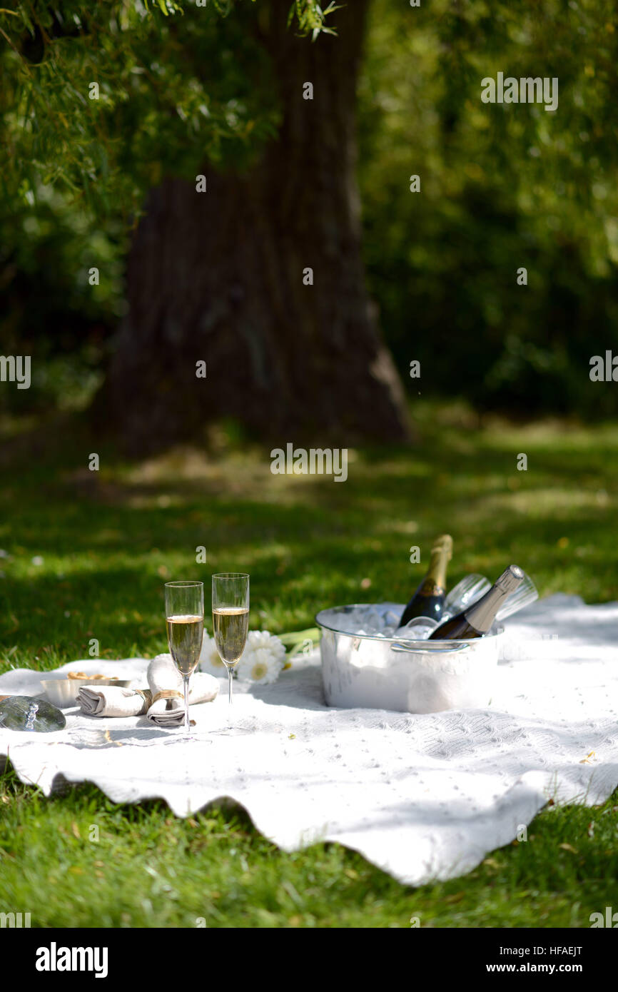 Luxury picnic estivo con champagne e argenteria Foto Stock