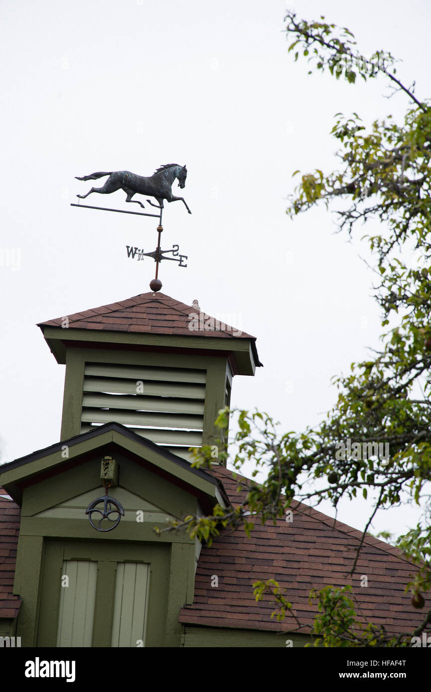 Horse banderuola sulla cima di una vecchia casa Foto Stock
