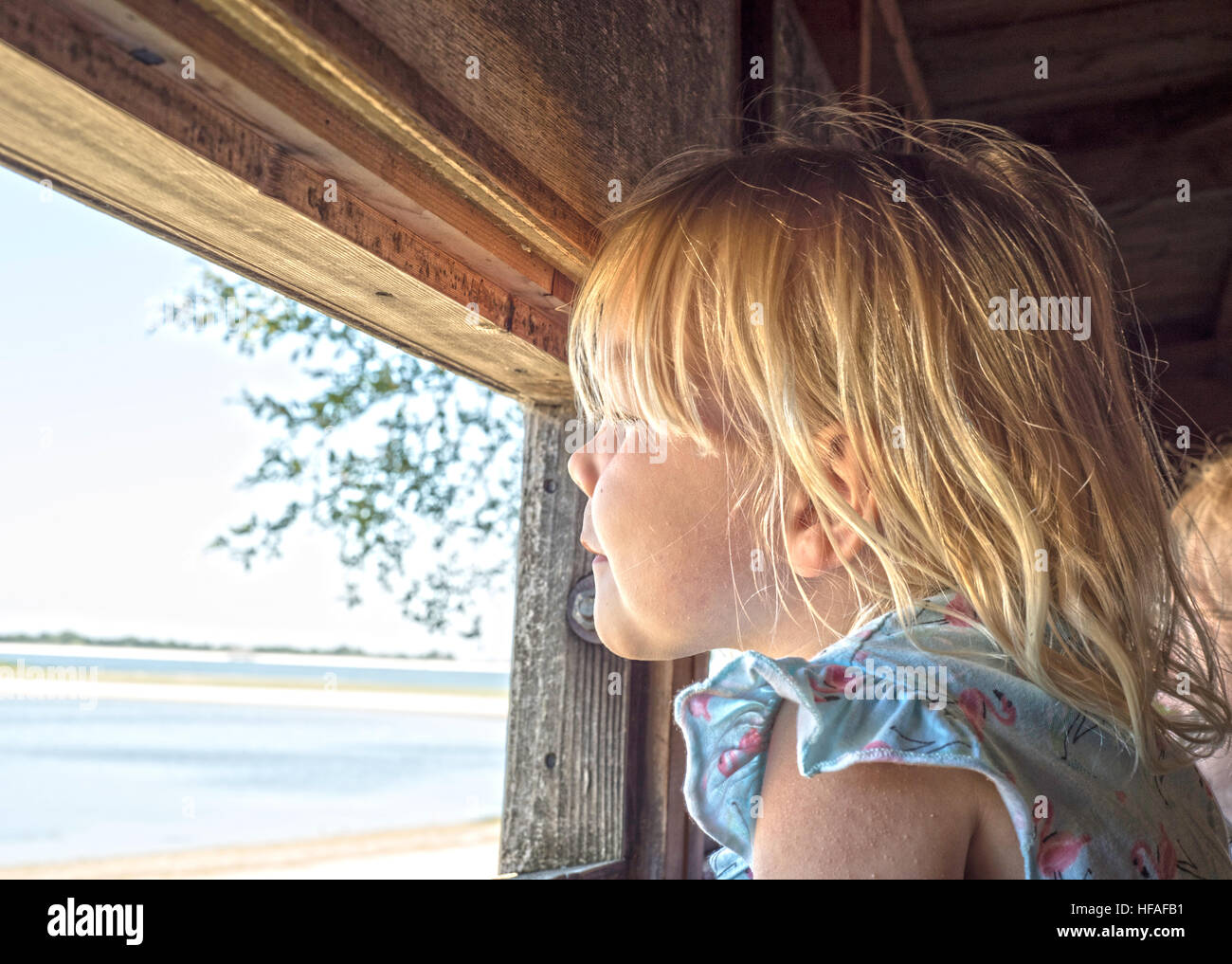 Lillie, bambino bird watching Foto Stock