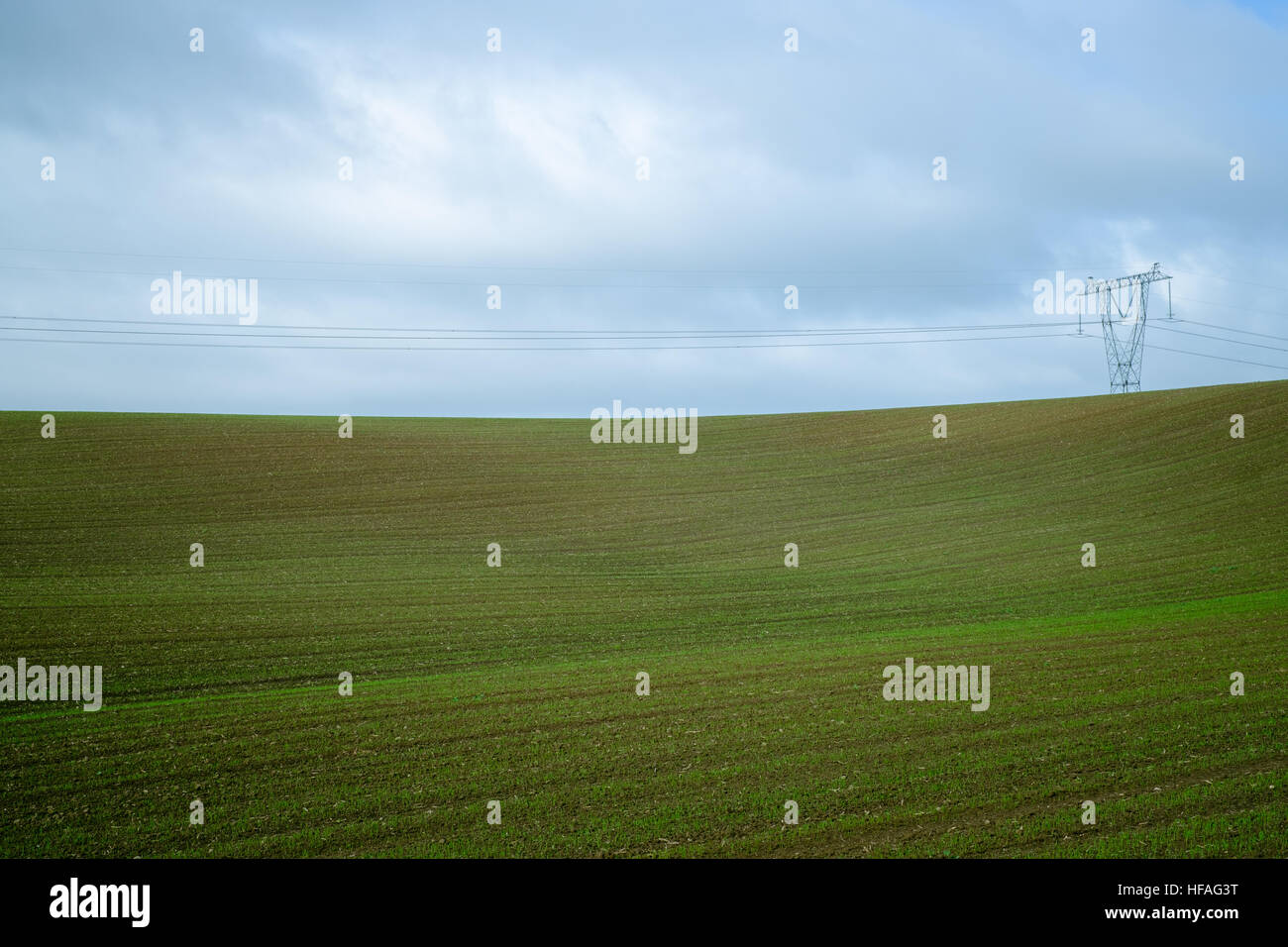 Linea di alimentazione su un campo verde sotto il cielo nuvoloso Foto Stock