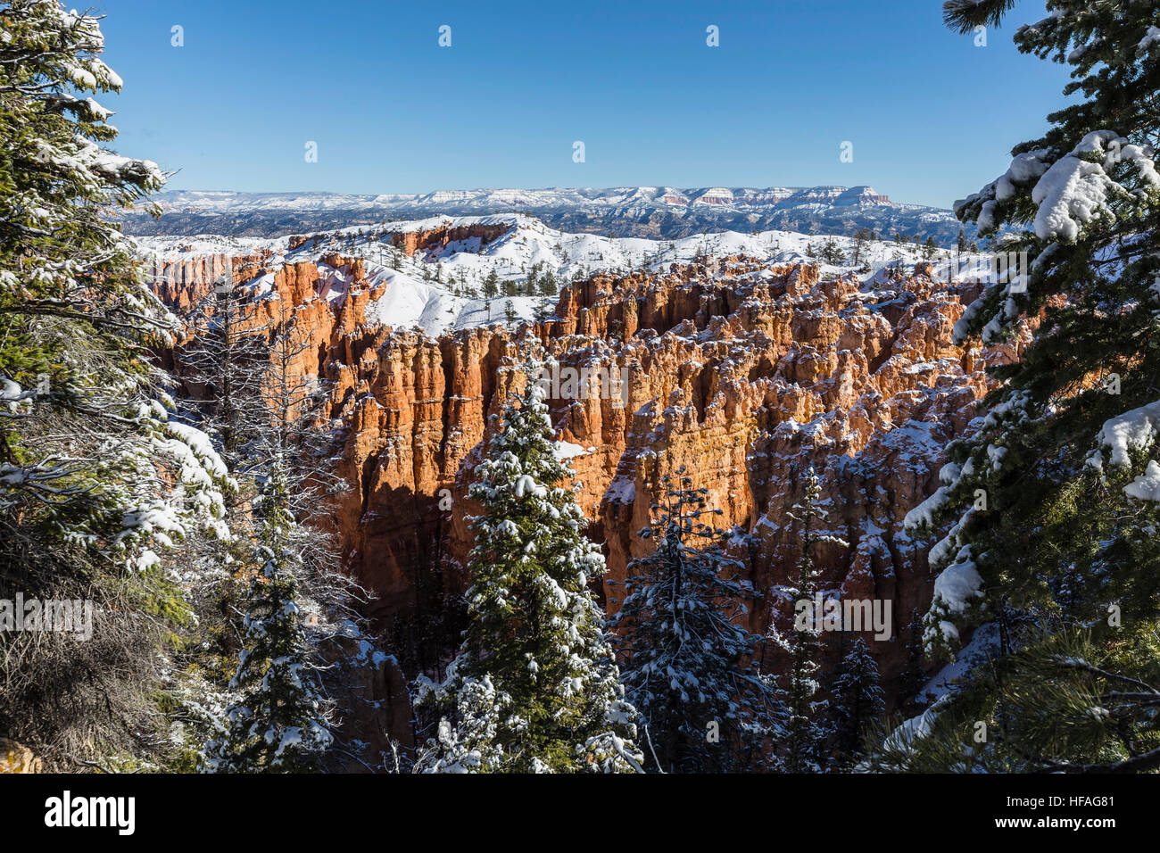 Hoodoos e pini con neve fresca coperchio nel Parco Nazionale di Bryce Canyon nel sud dello Utah. Foto Stock