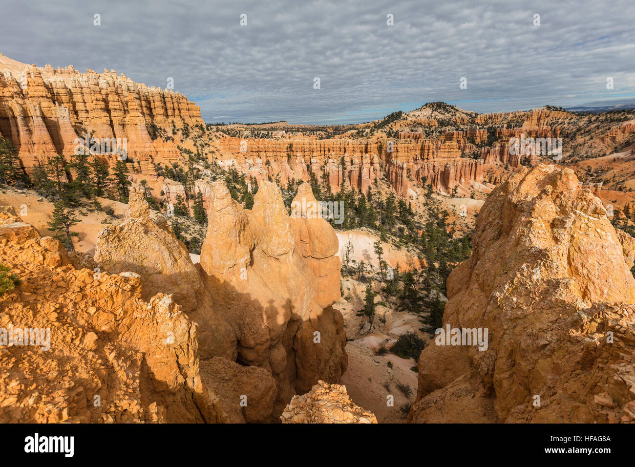 Parco Nazionale di Bryce Canyon pomeriggio hoodoo visualizzare nel sud dello Utah. Foto Stock