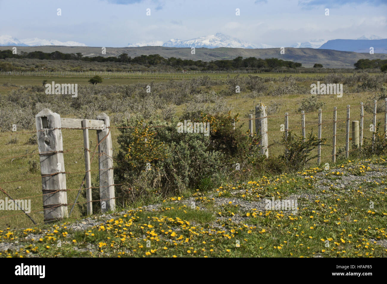 Il paesaggio lungo la Ruta Aonikenk a Rio Verde, a nord di Punta Arenas, Patagonia, Cile Foto Stock