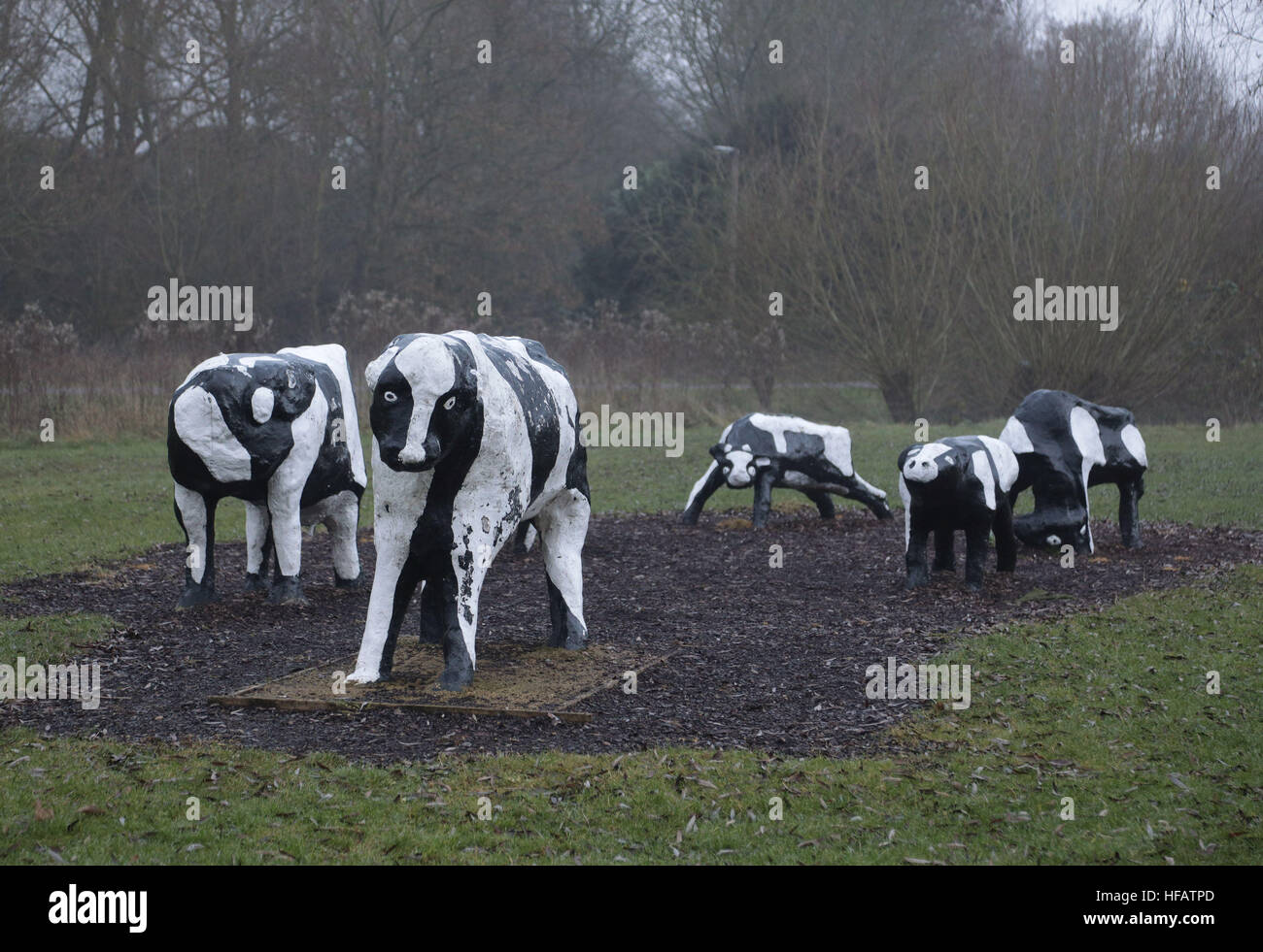 Replica di vacche di calcestruzzo in Bancroft, Milton Keynes, come la città celebra il suo cinquantesimo anniversario nel 2017. Foto Stock