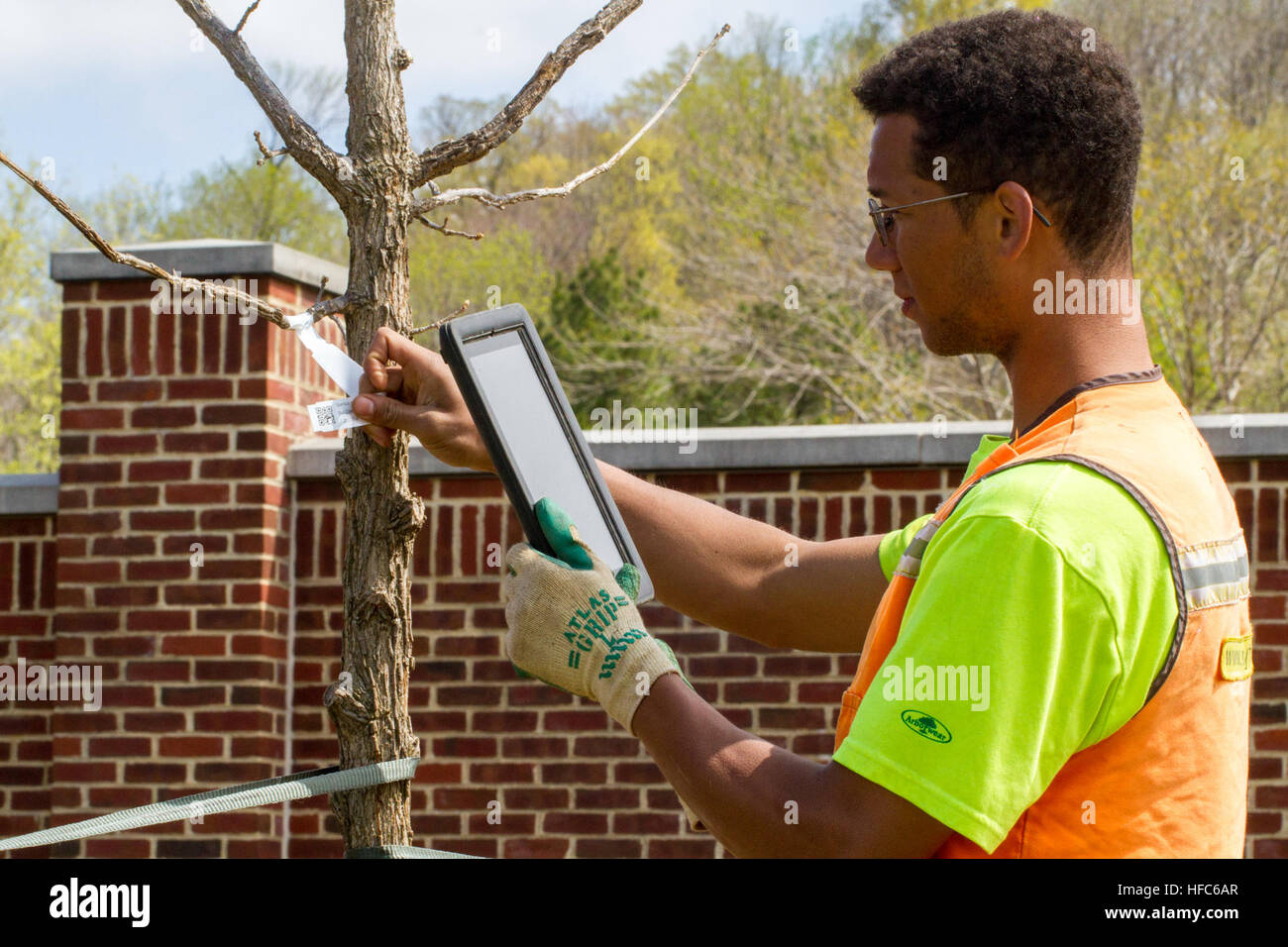 Jonathan Carney, a Casey alberi tree specialista, utilizza un satellite di posizionamento globale (GPS) abilitata tablet pc per eseguire la scansione del codice a barre attaccata tto un albero piantato a base comune (Anacostia-Bolling JBAB) su Earth Day 2014 (22 Aprile). Il sistema di posizionamento GPS e la struttura delle informazioni del codice a barre consente di JBAB Opere Pubbliche dipartimento di immettere la posizione prcise dell'albero, uno di 100 piantati in aprile e maggio 2014 presso le installazioni militari, in opere pubbliche sistema di informazione geografica (GIS) per albero mainenance e la futura pianificazione di uso di terra. (U.S. Navy foto di Lt. La Cmdr. Jim Remington/RILASCIATO) Base comune Foto Stock