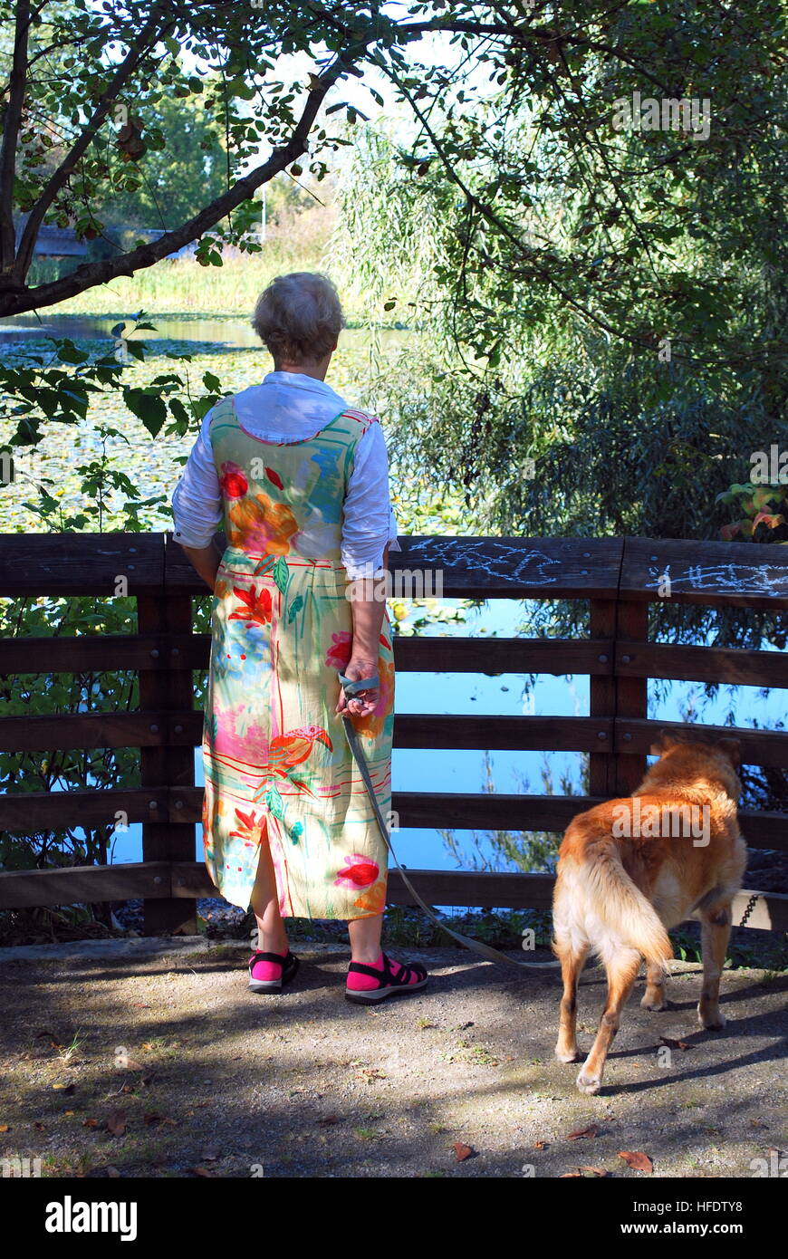 Femmina e cane fuori. Foto Stock