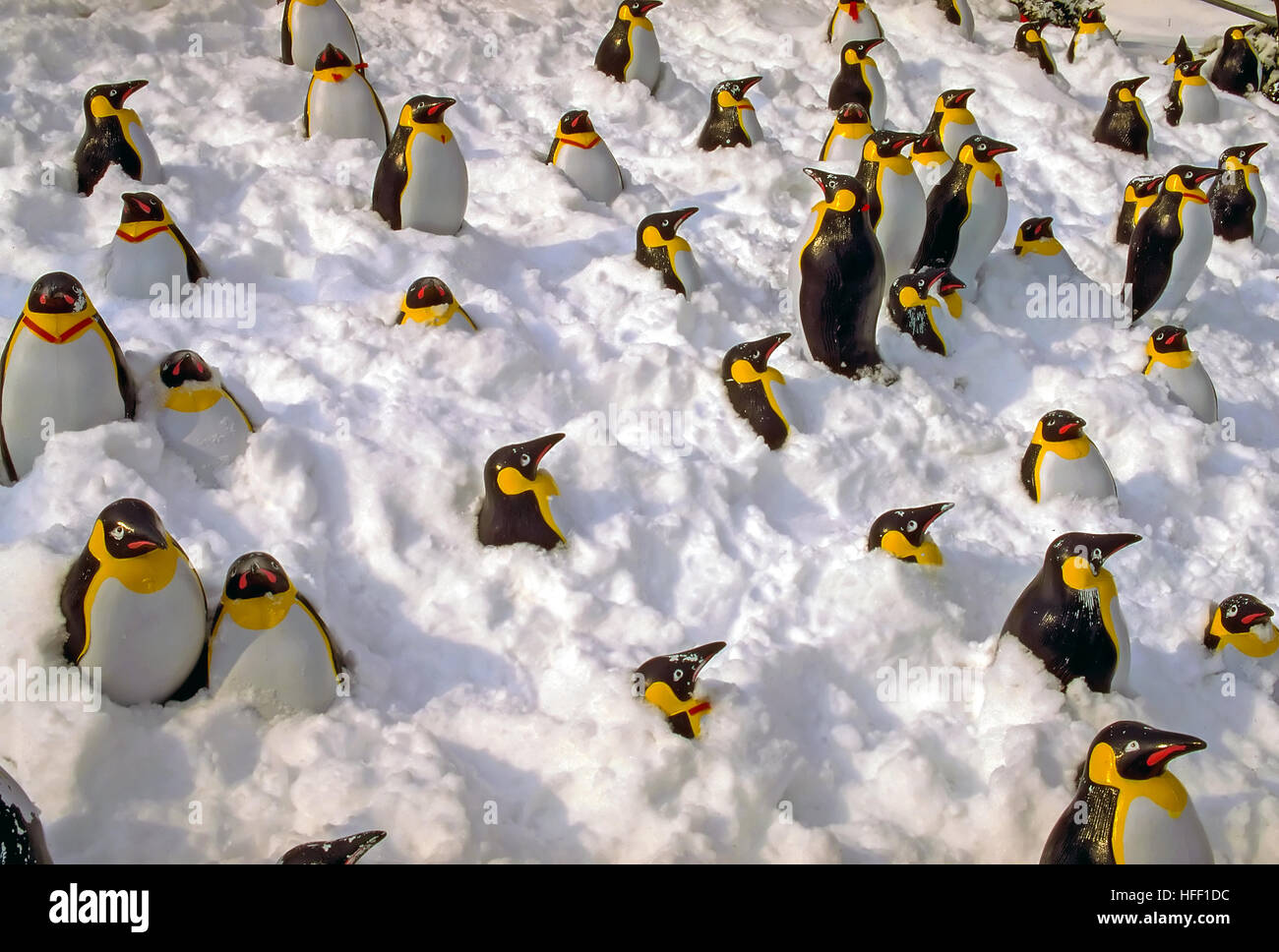 Plastica pinguini imperatore, Aptenodytes forstein, spiccanti da una banca di neve. Foto Stock