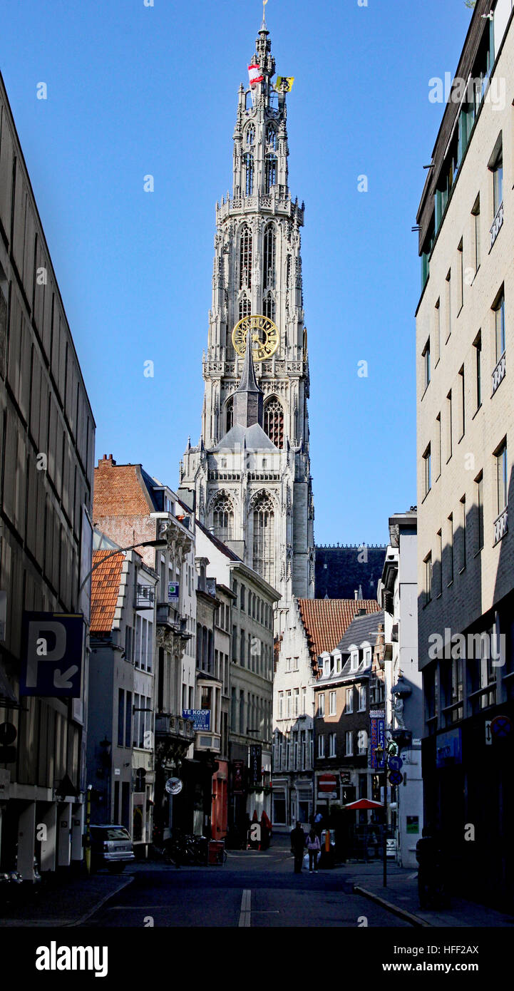 Cattedrale di Nostra Signora torreggia sopra le pittoresche strade di Anversa in Belgio con il campanile più alto nei paesi del Benelux Foto Stock