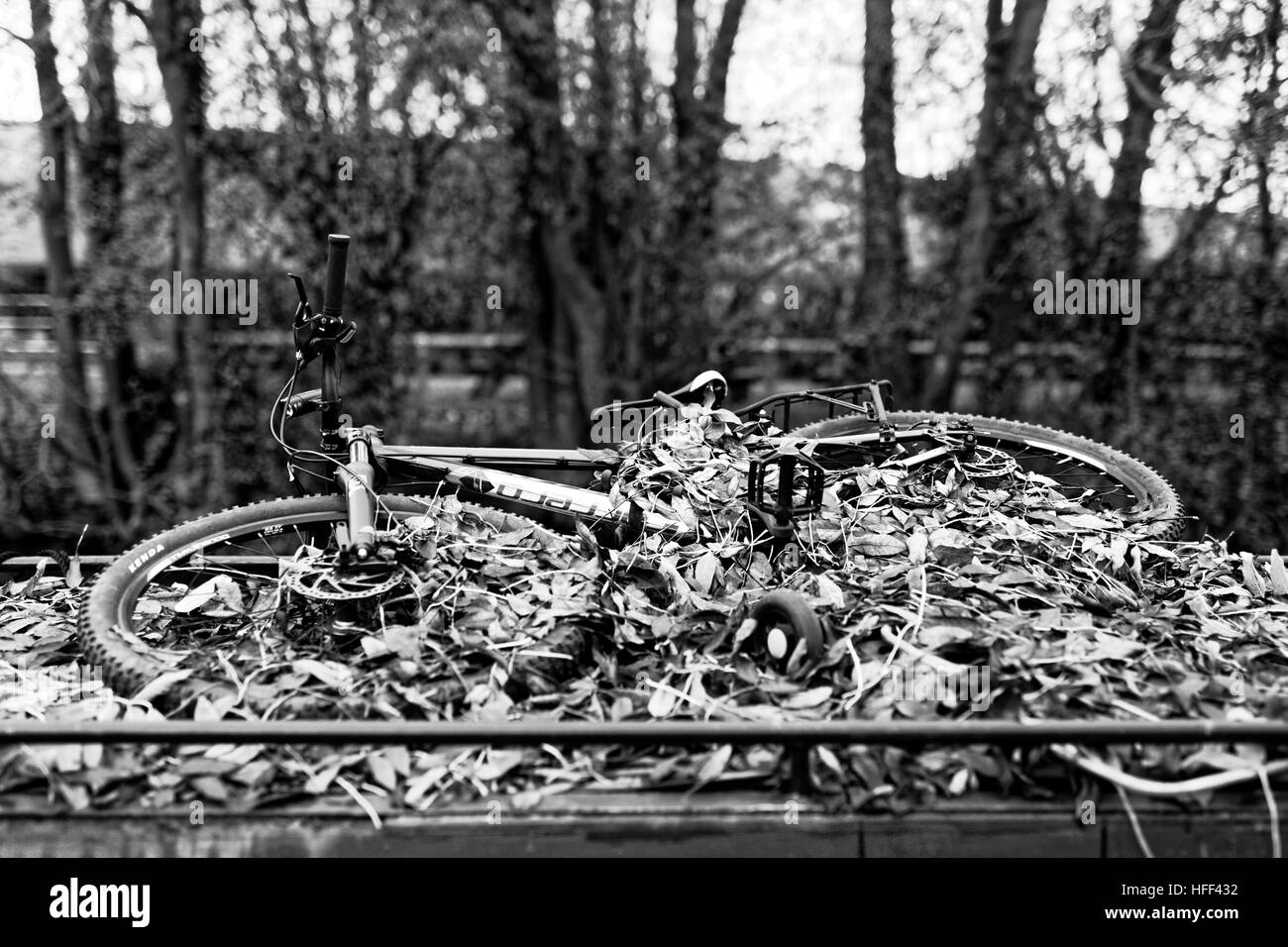 Bicicletta sulla barca stretta con foglie Foto Stock