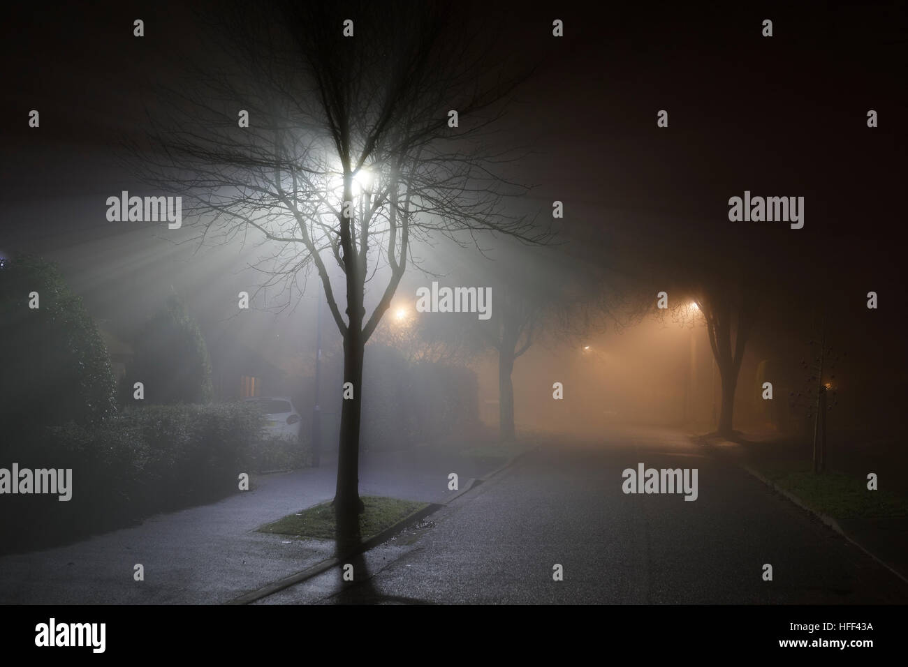 La nebbia strada di notte Foto Stock