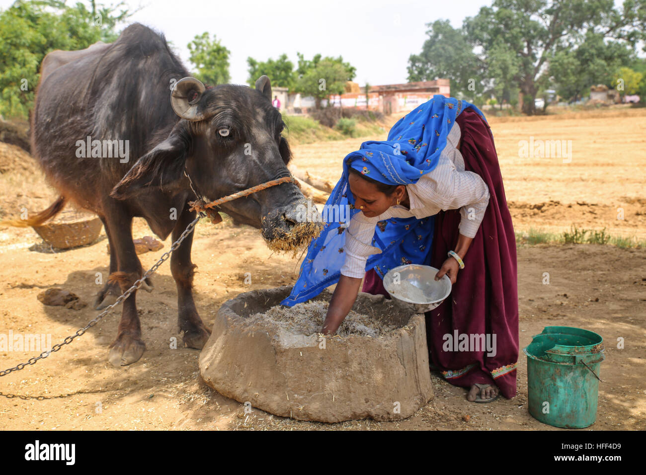 Ritratti di donne e bambini del Rajasthan. Nelle campagne le donne del Rajasthan indossare gonne lunghe, un piccolo bolero e velo con colori luminosi. Essi ornarsi con gioielli in argento ( orecchini, naso anelli, collane, il braccio e la caviglia bracciali). Essi sollevano i bambini e partecipare ai lavori rurali ( bovini, agricoltura, legno e attività dell'acqua). La maggior parte dei matrimoni sono risolte e il posto delle donne è da e al servizio delle loro leggi. - 25/04/2016 - India / Rajasthan - Foto del Rajasthan, ritratti e stili di vita - Sandrine Huet / Le Pictorium Foto Stock