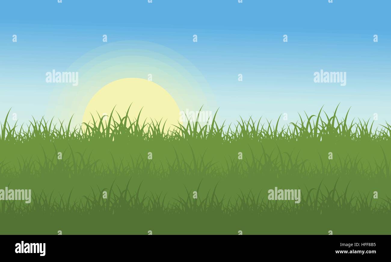 Paesaggio di erba al mattino Illustrazione Vettoriale