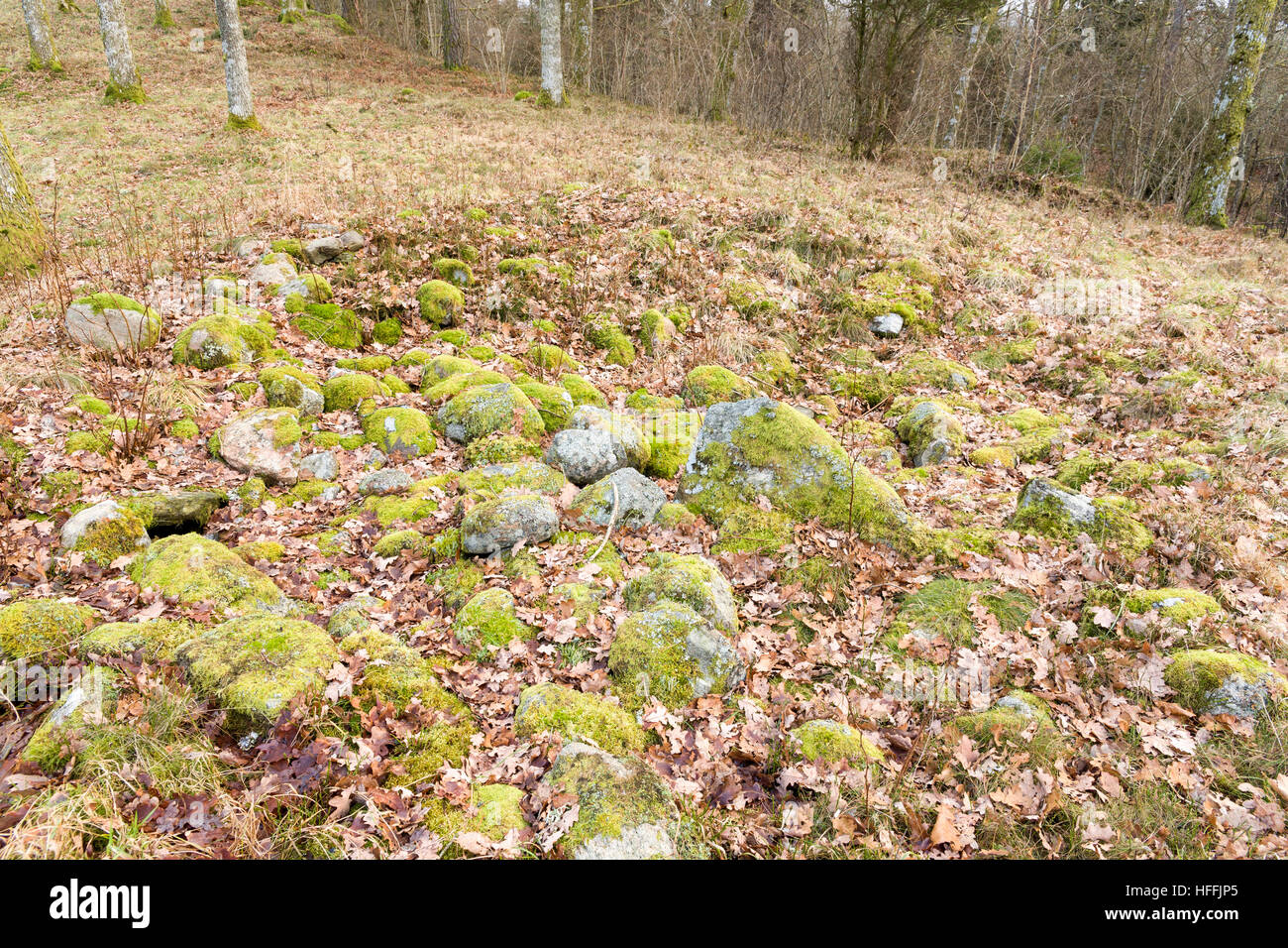 Tarda età della pietra chambered tomba. Fornlämning 34, Skallsjö socken, Västra Götaland, Svezia. Modello di Rilascio: No. Proprietà di rilascio: No. Foto Stock