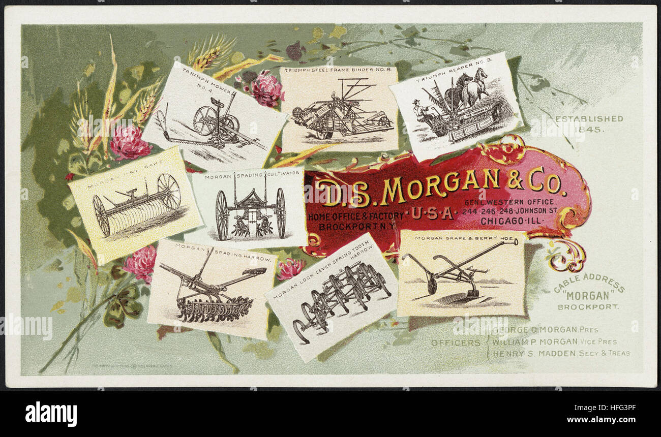 Agricoltura Scambio di carte - D. S. Morgan & Co., home office & factory, Brockport, N. Y Foto Stock