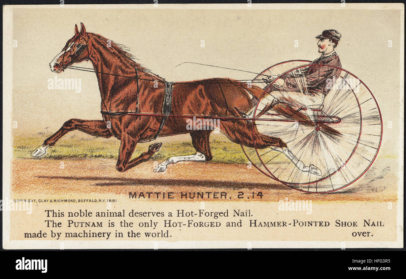 Agricoltura Scambio di carte - Mattie Hunter, 2.14 - questo nobile animale merita un hot-chiodo forgiato. La Putnam è il solo a caldo e forgiato a martello scarpa appuntita chiodo realizzato da macchinari in tutto il mondo Foto Stock