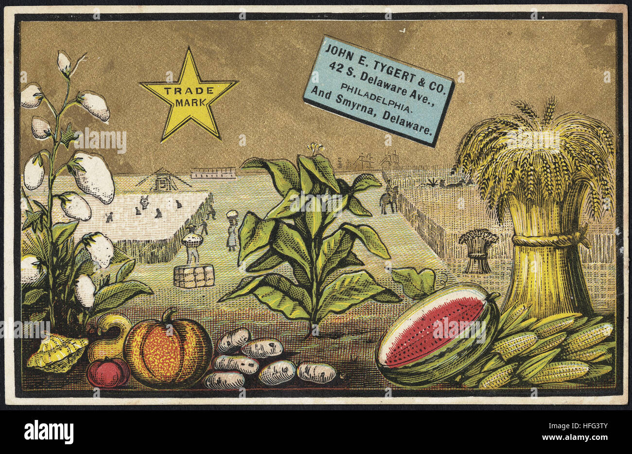 Agricoltura Scambio di carte - John E. Tygert & Co., 42 S. Delaware Ave., Philadelphia. E Smirne, Delaware Foto Stock